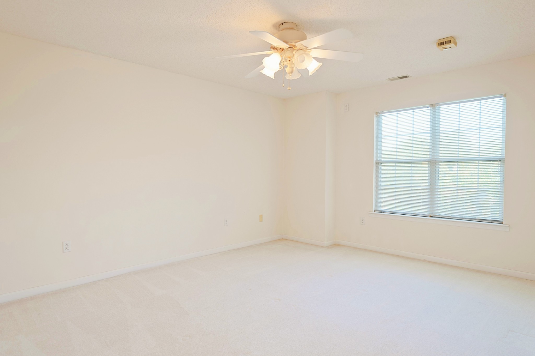 10674 Wall Triana Hwy Property Photo 46