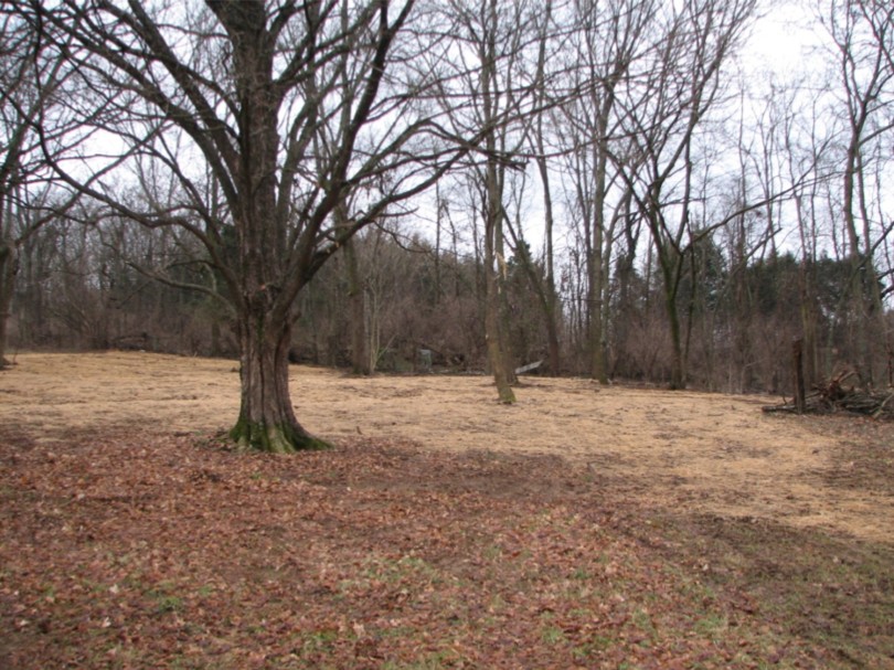 1311 Huffines Ridge Dr Property Photo 7