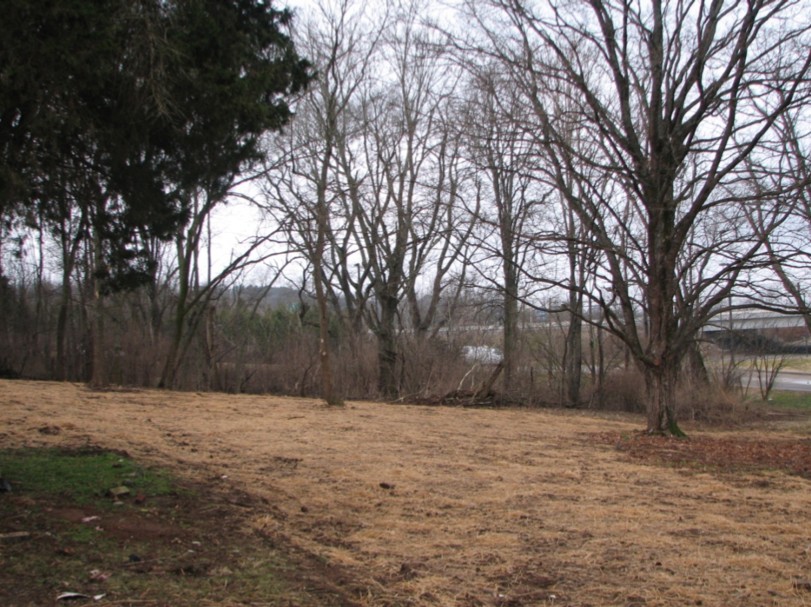 1311 Huffines Ridge Dr Property Photo 8