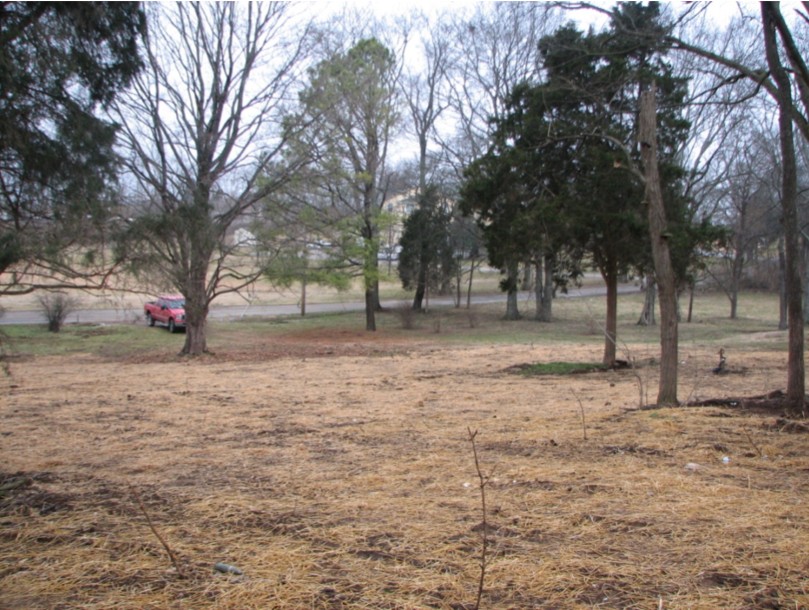 1311 Huffines Ridge Dr Property Photo 1