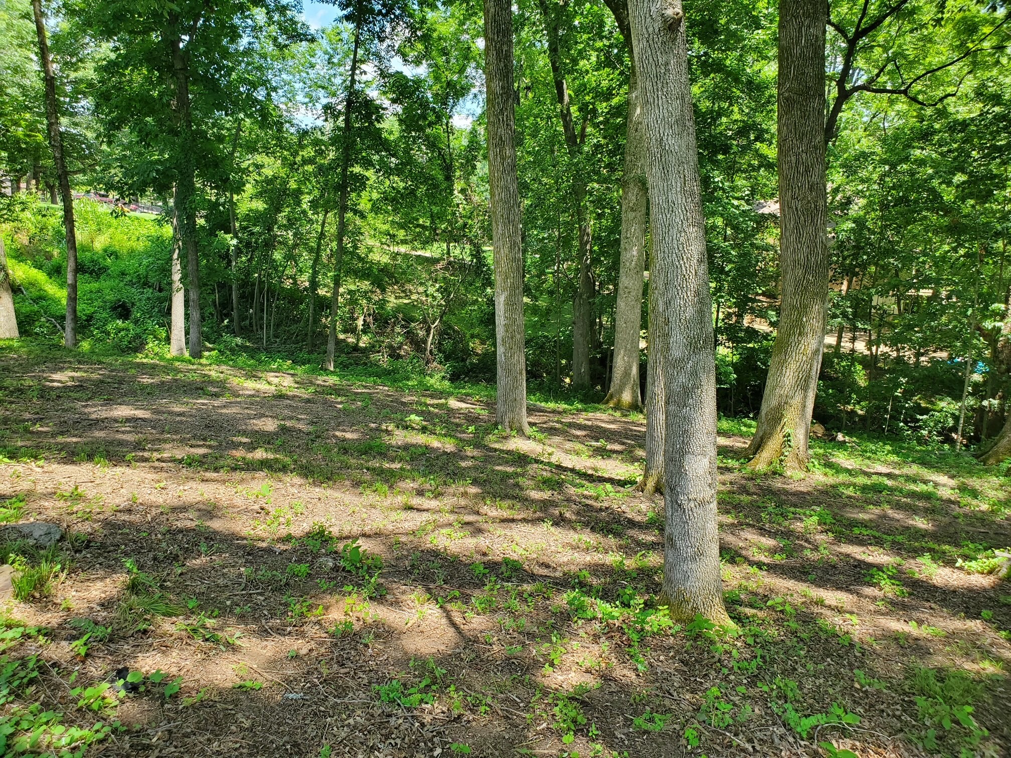 1930 Arlington Rd Property Photo 9