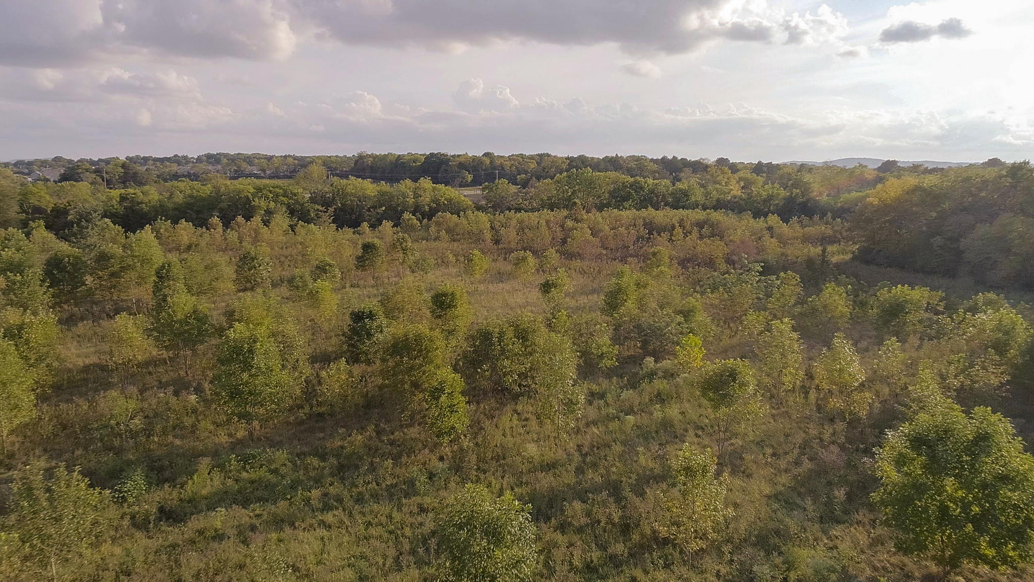 2070 Hunters Point Pike Property Photo 37