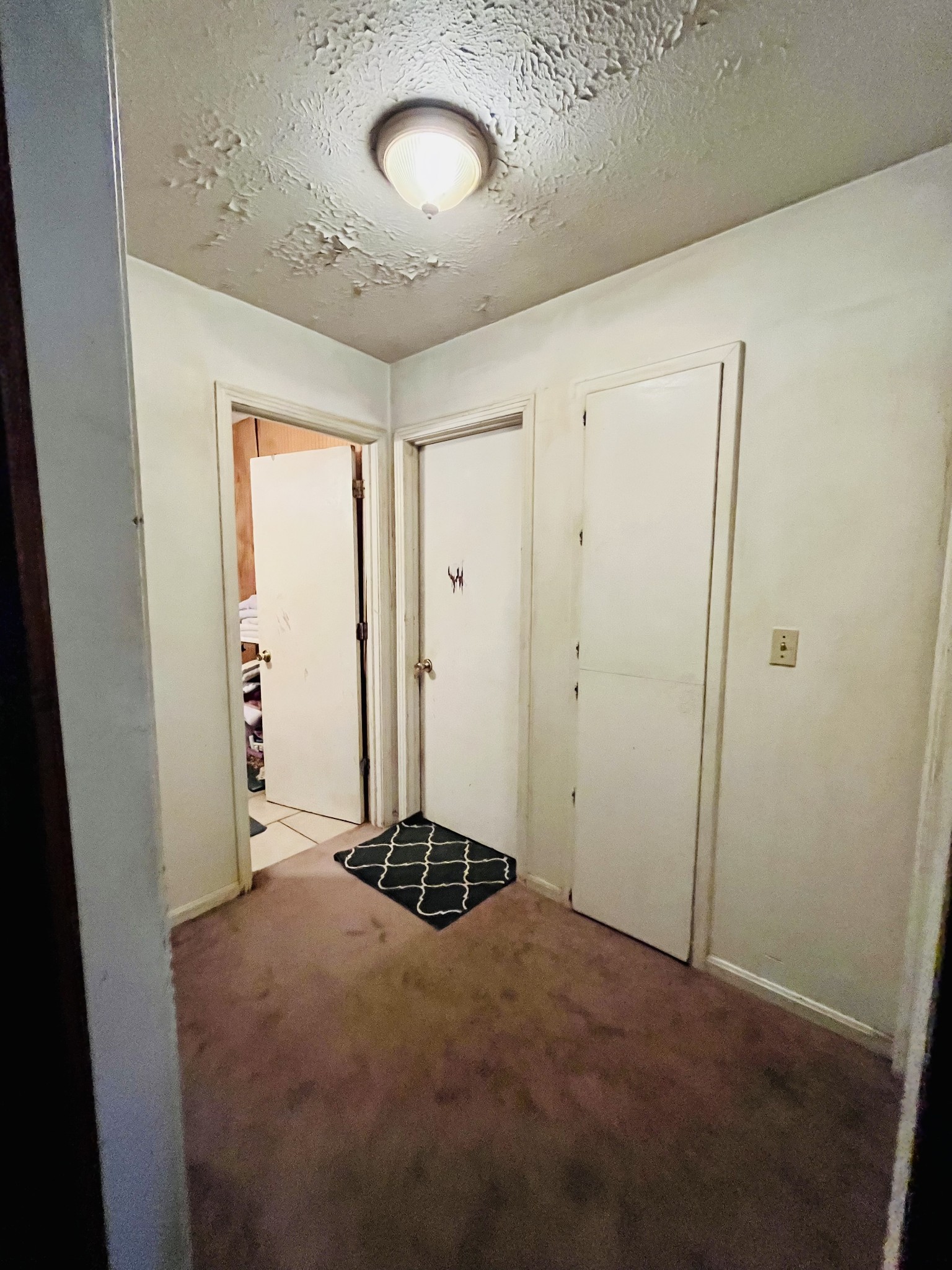 1023 Rebecca Dr Property Photo 14