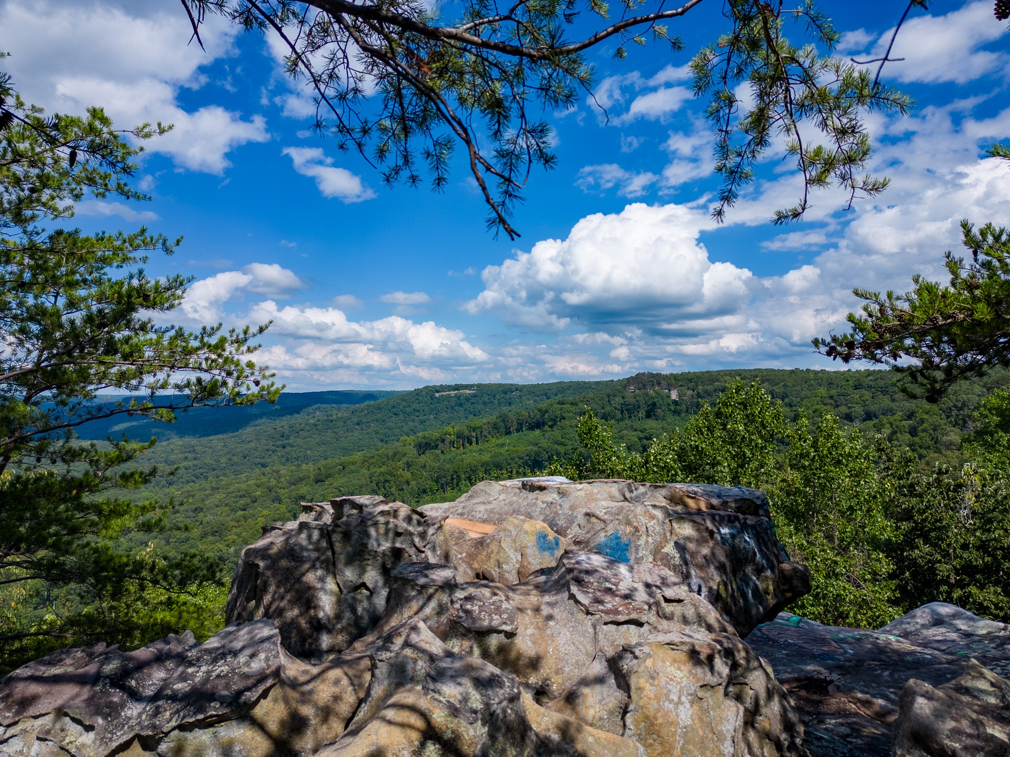 0 The Bluffs At The Ridge Property Photo 1