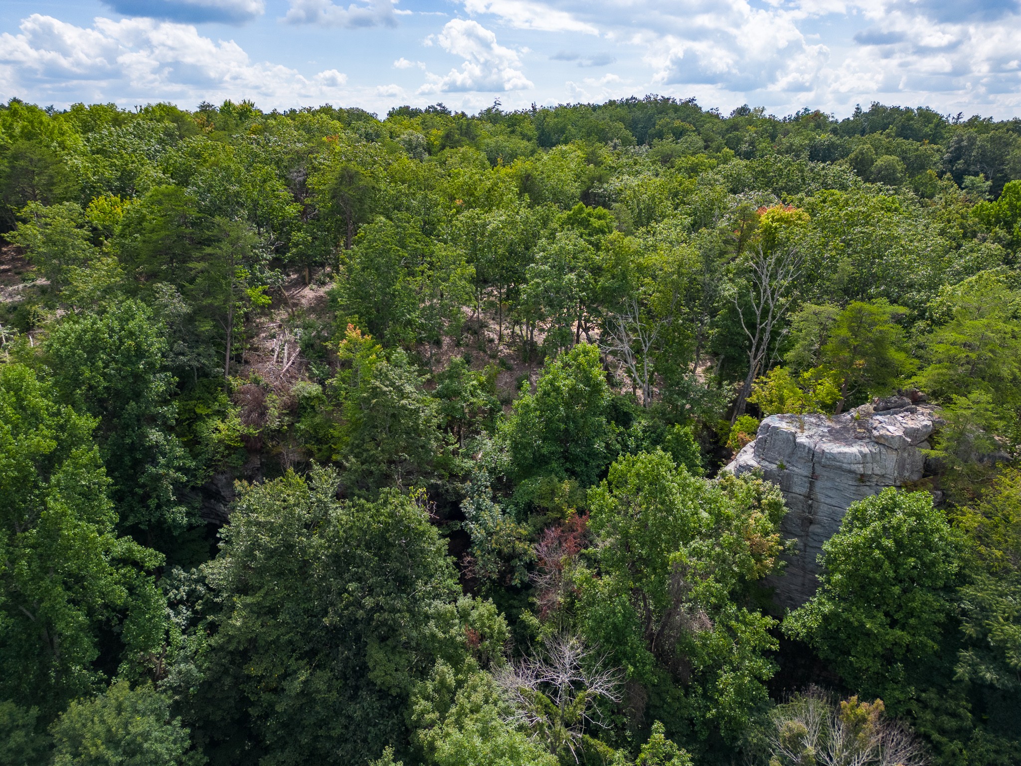 0 The Bluffs At The Ridge Property Photo 2