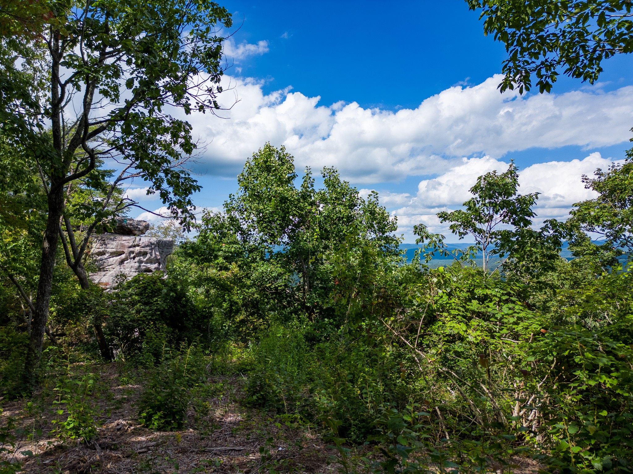 0 The Bluffs At The Ridge Property Photo 5