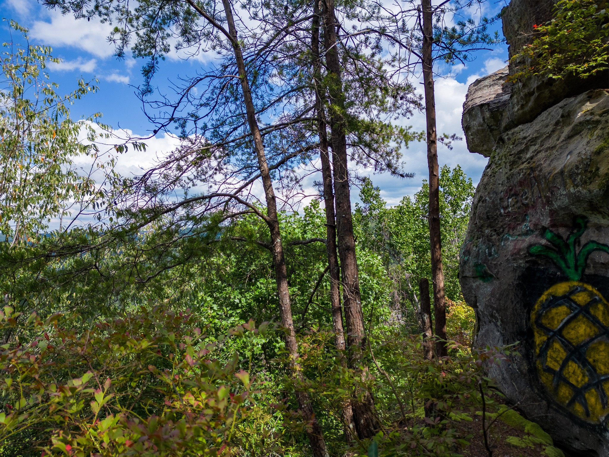 0 The Bluffs At The Ridge Property Photo 6