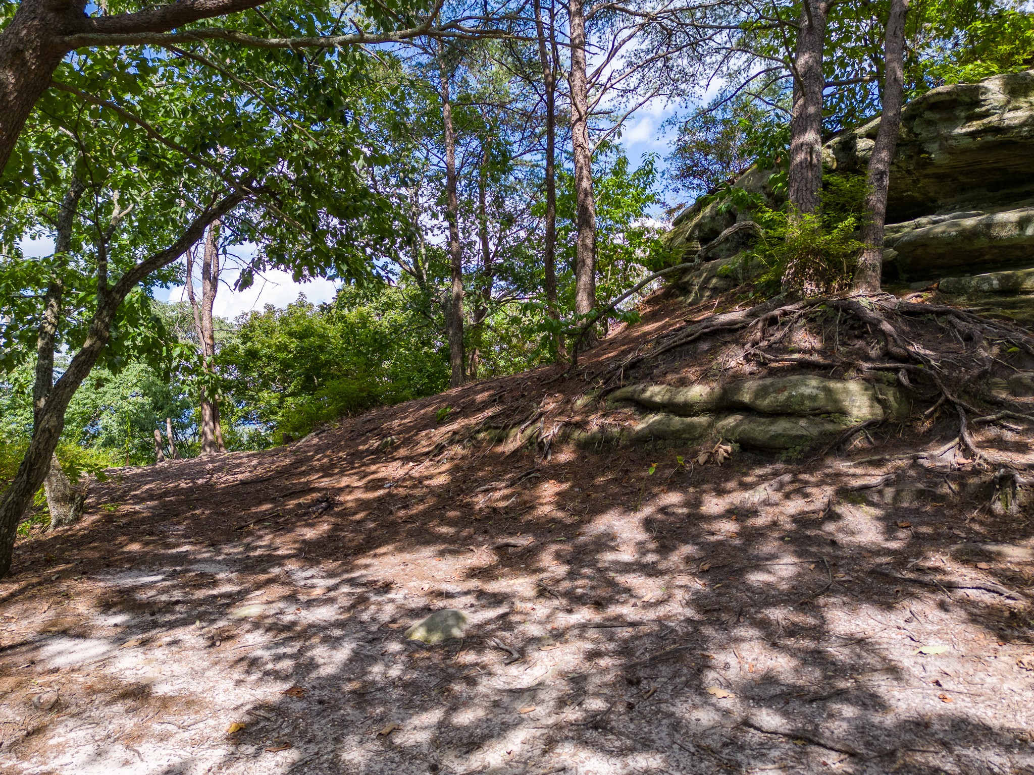 0 The Bluffs At The Ridge Property Photo 10