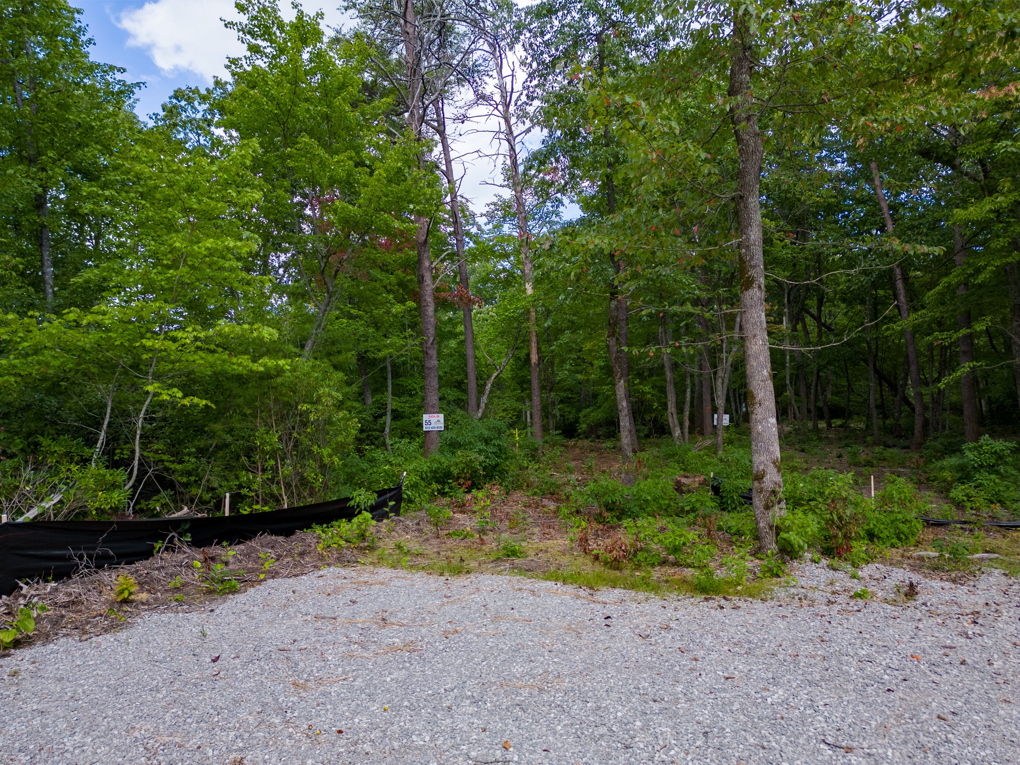0 The Bluffs At The Ridge Property Photo 11