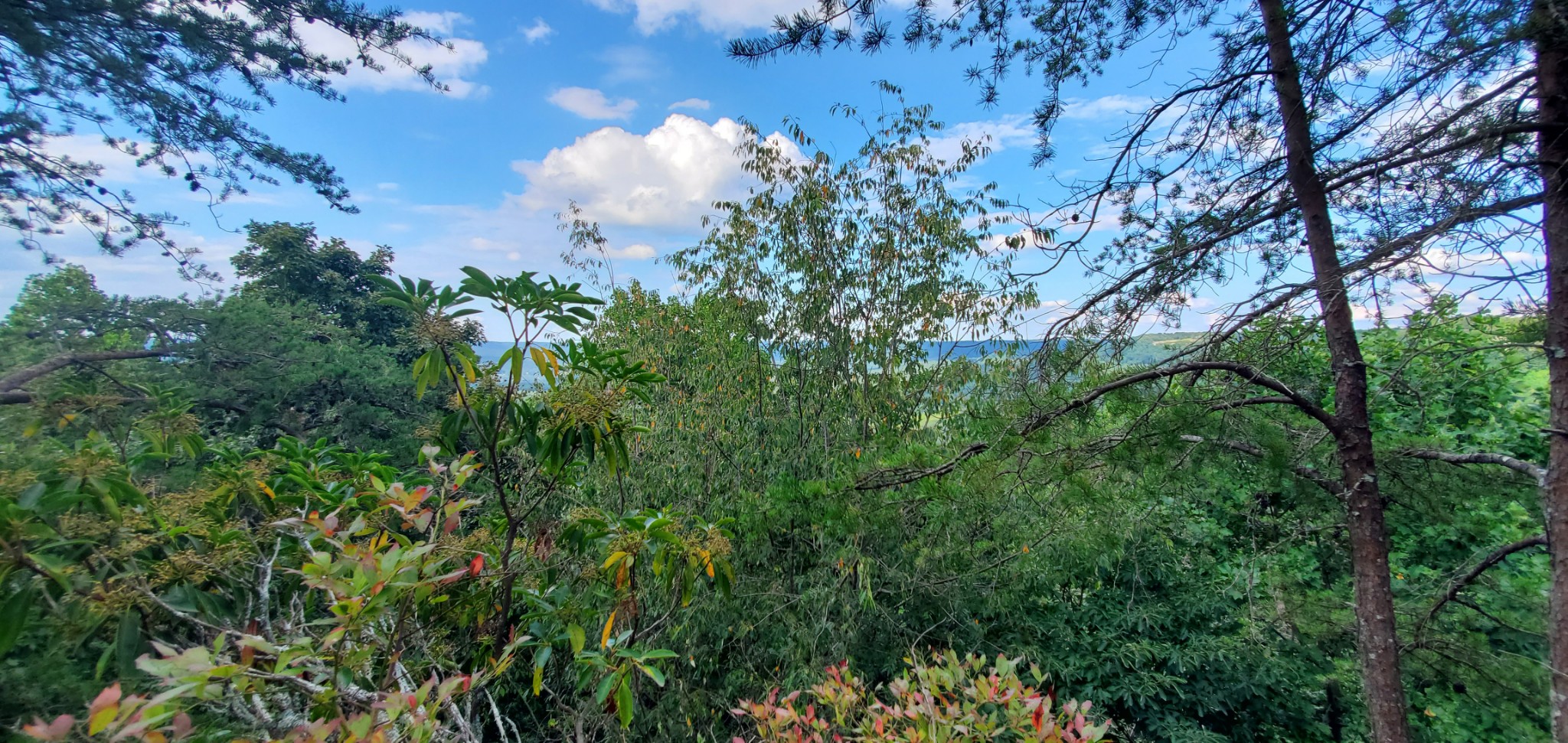 0 The Bluffs At The Ridge Property Photo 12