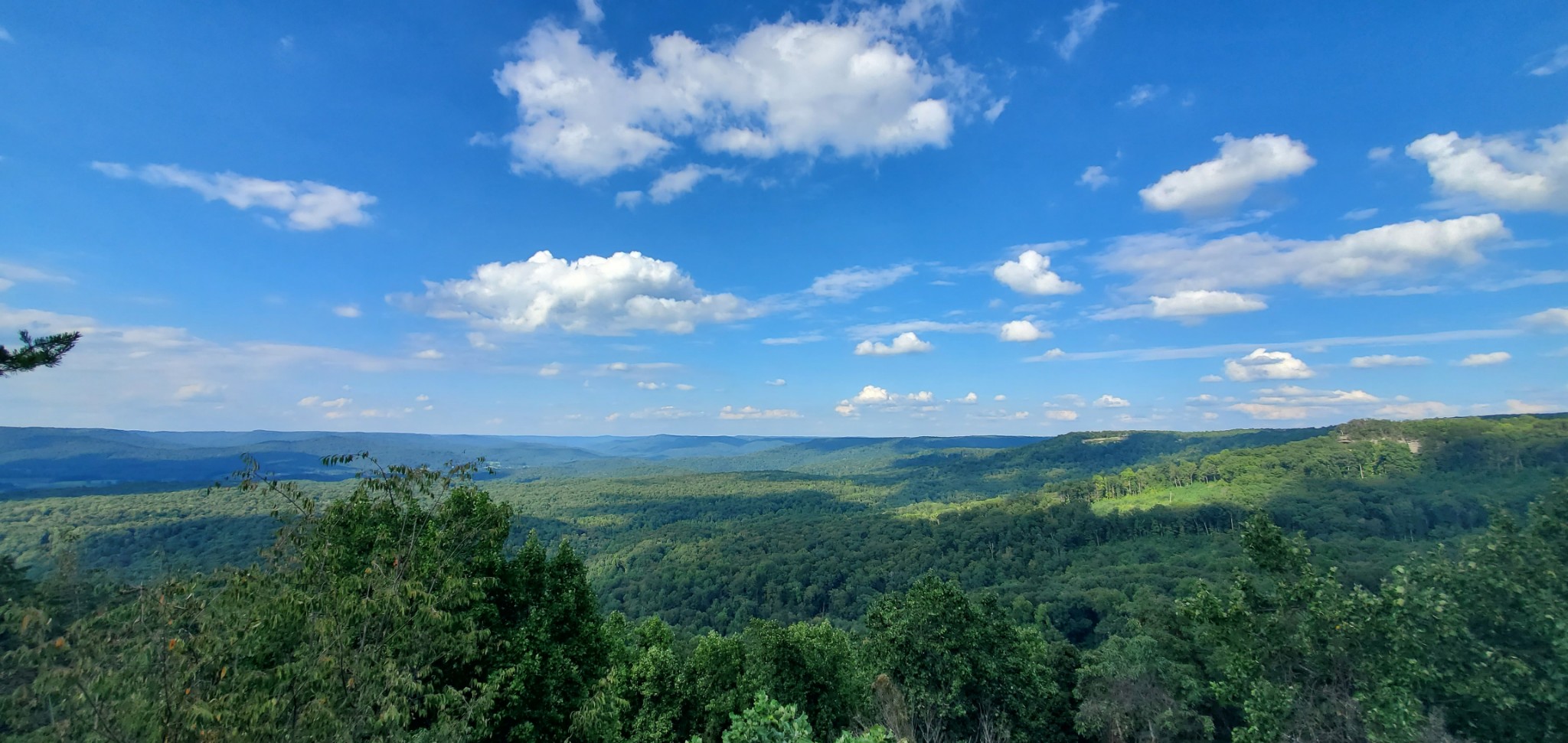 0 The Bluffs At The Ridge Property Photo 15