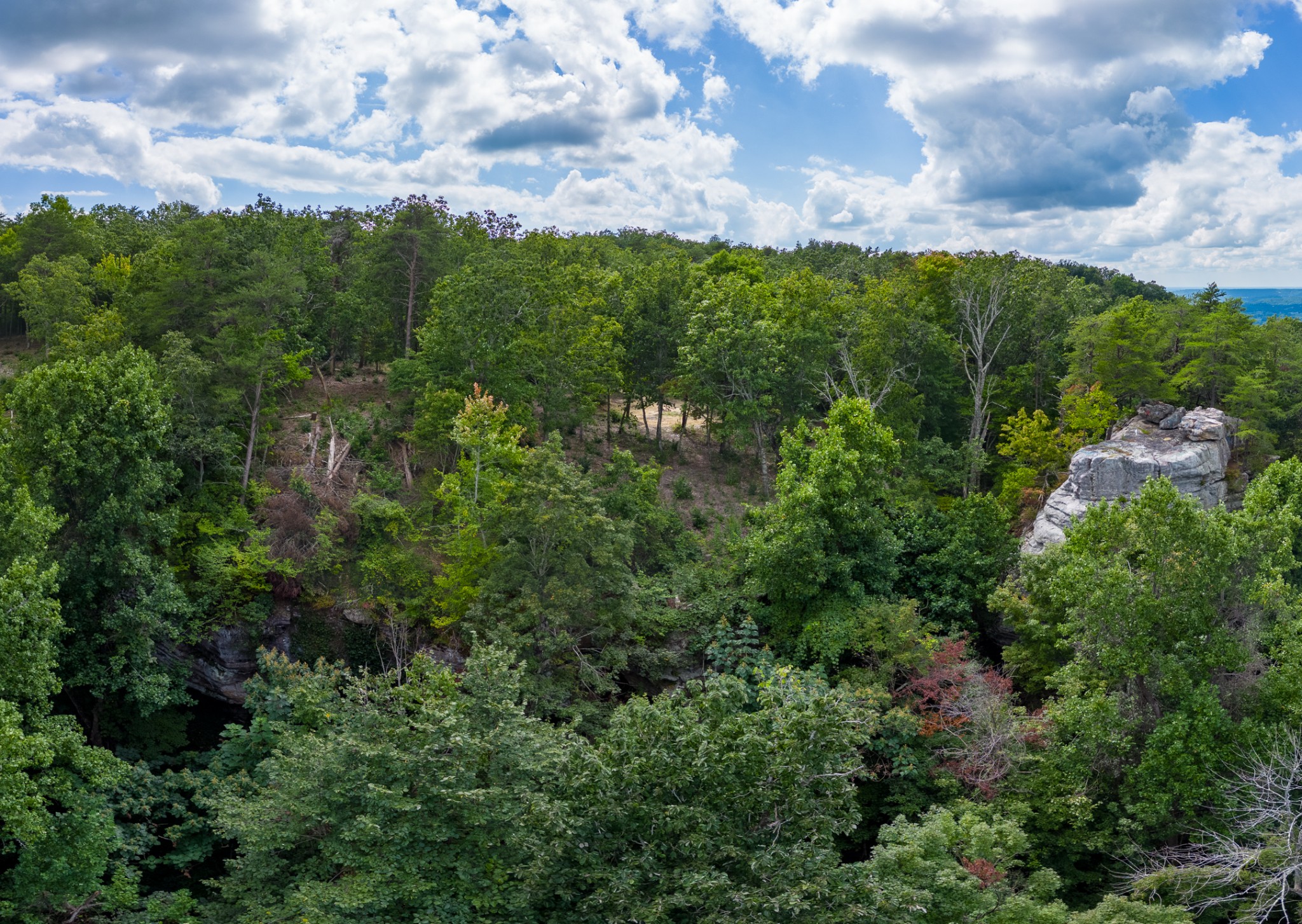 0 The Bluffs At The Ridge Property Photo 16