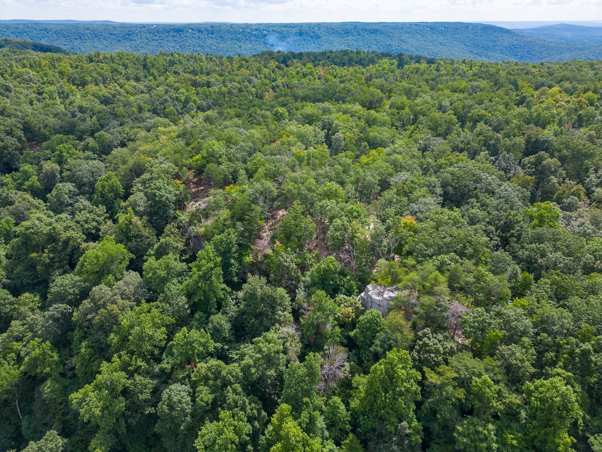 0 The Bluffs At The Ridge Property Photo 17
