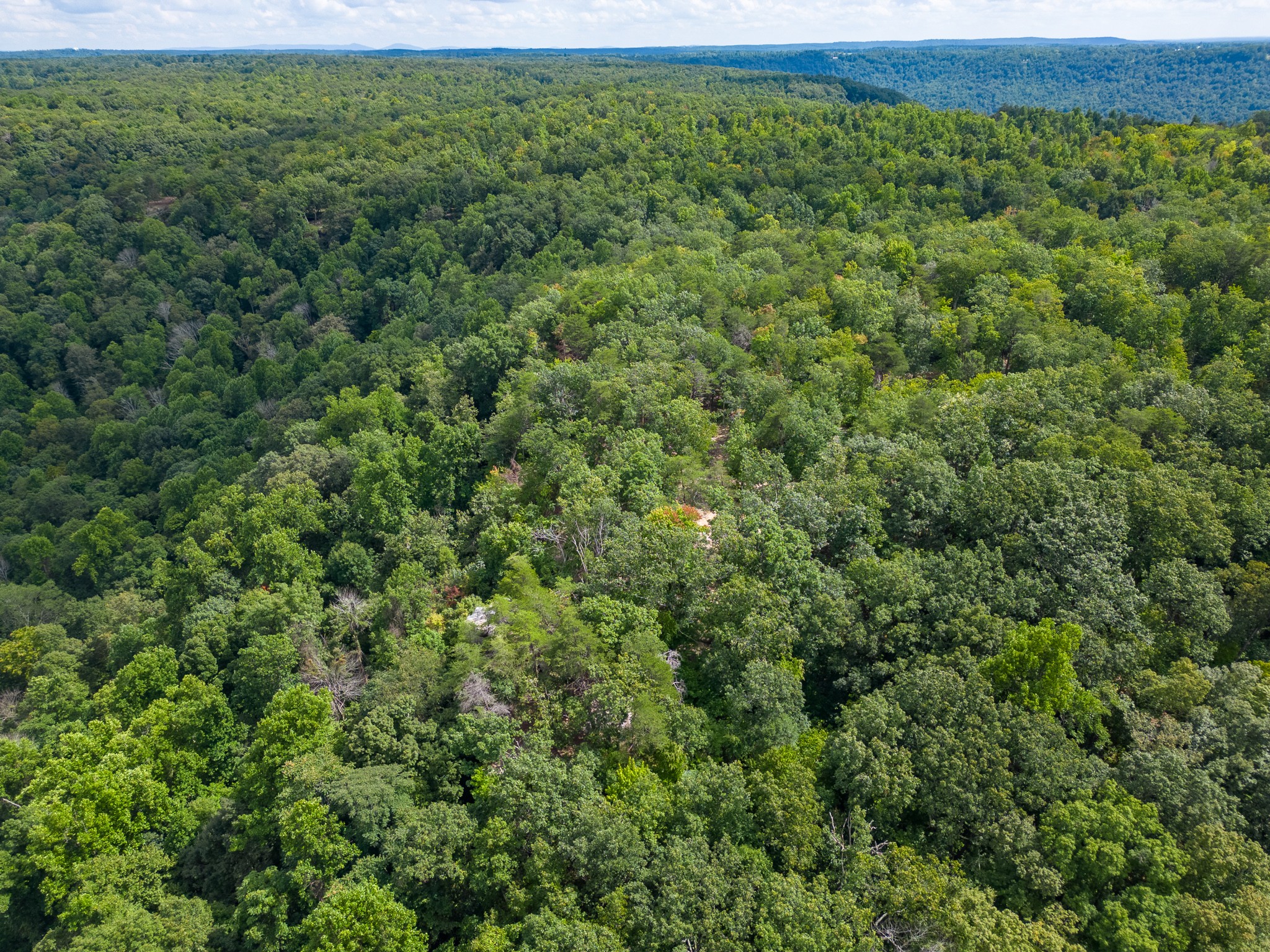 0 The Bluffs At The Ridge Property Photo 18
