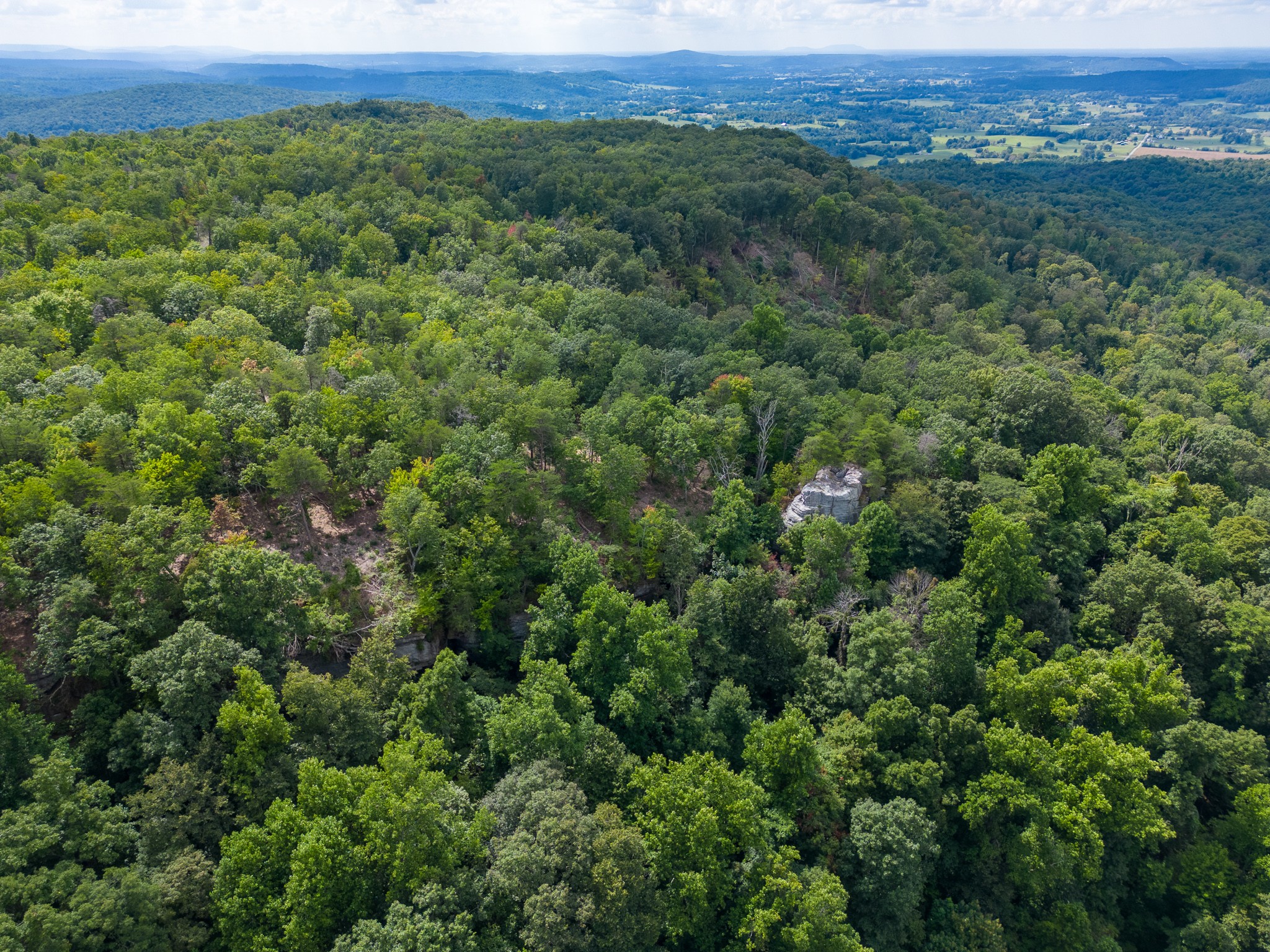 0 The Bluffs At The Ridge Property Photo 19