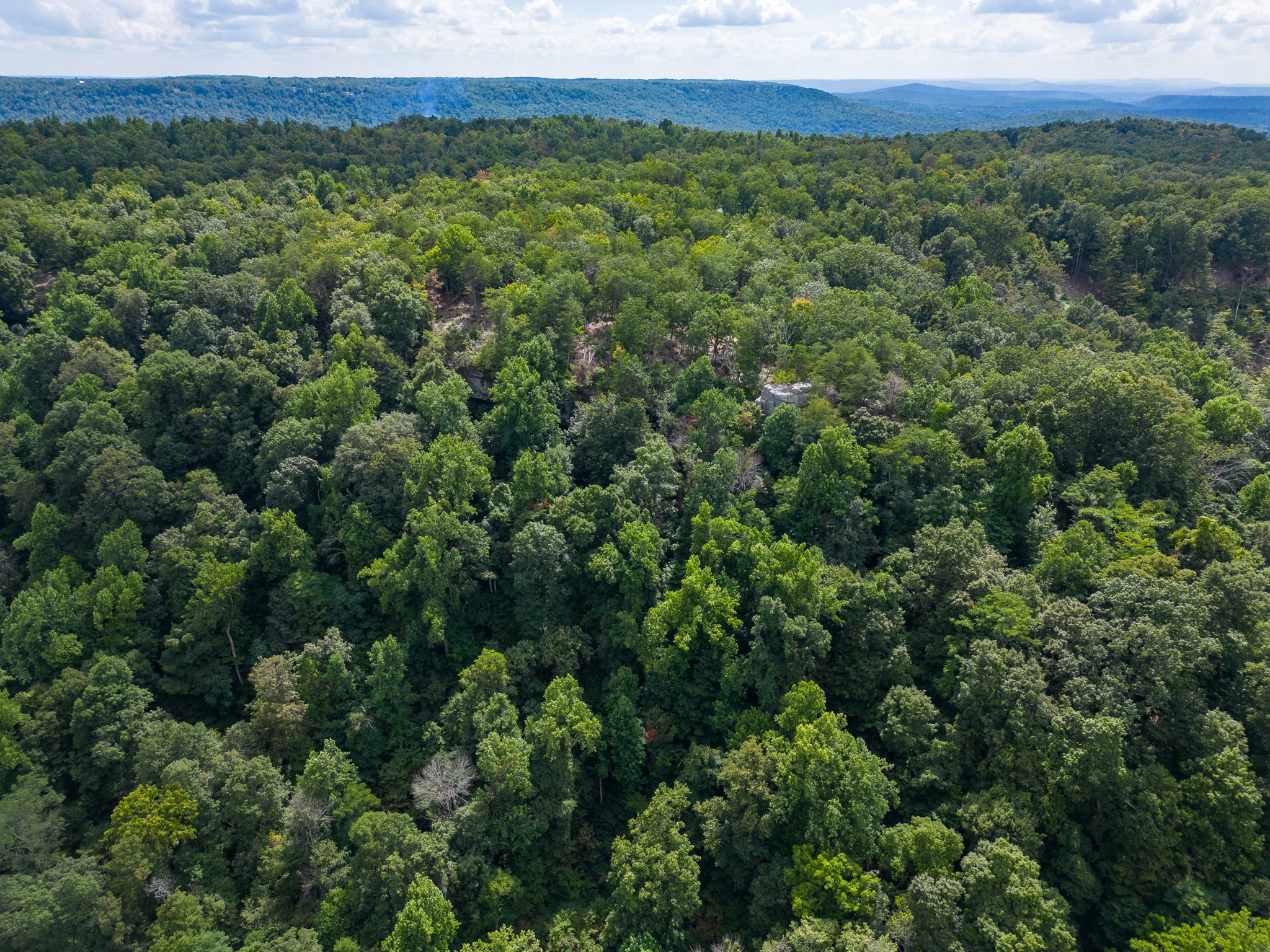 0 The Bluffs At The Ridge Property Photo 20