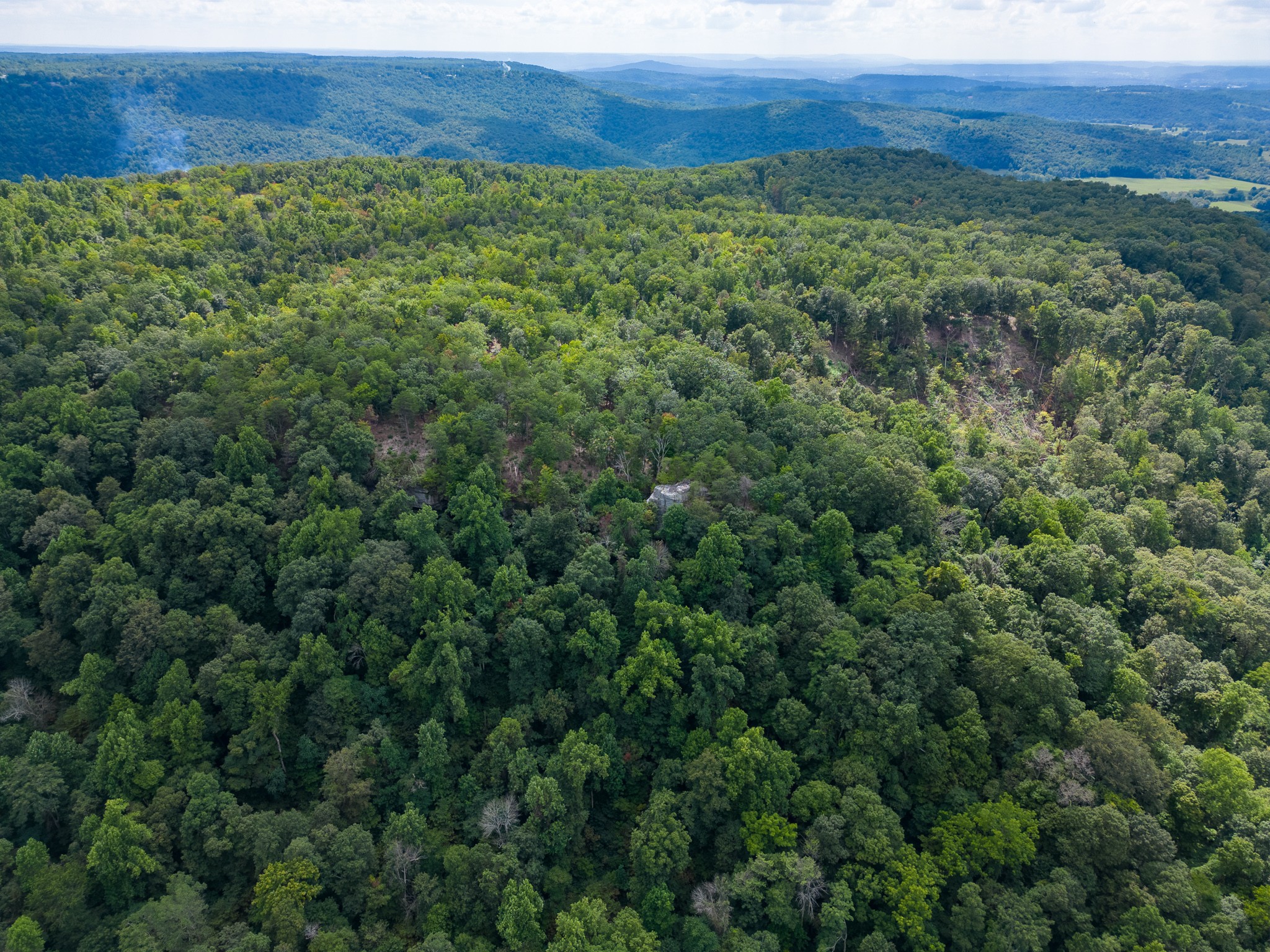 0 The Bluffs At The Ridge Property Photo 25