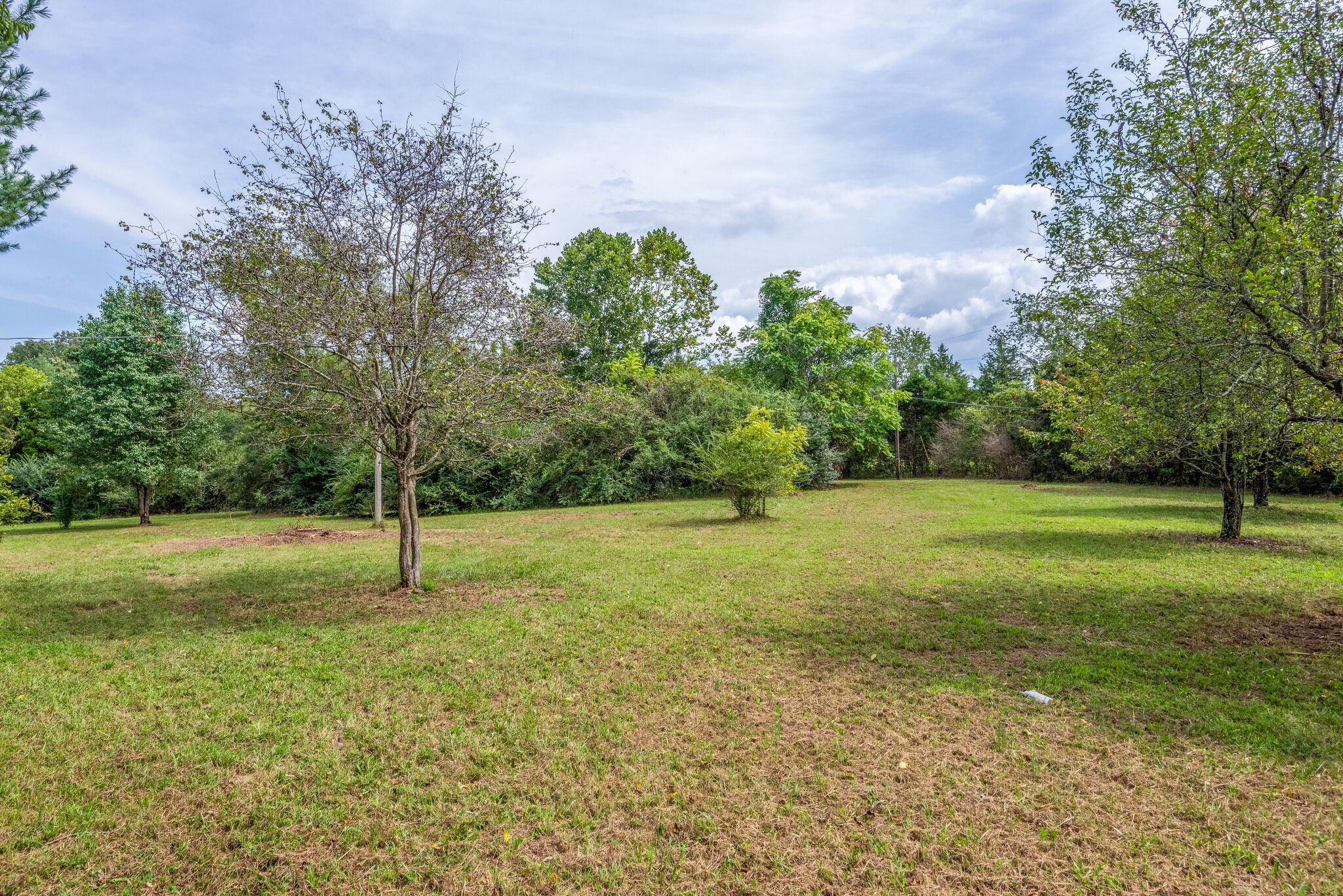 2410 Highway 49 Property Photo 34