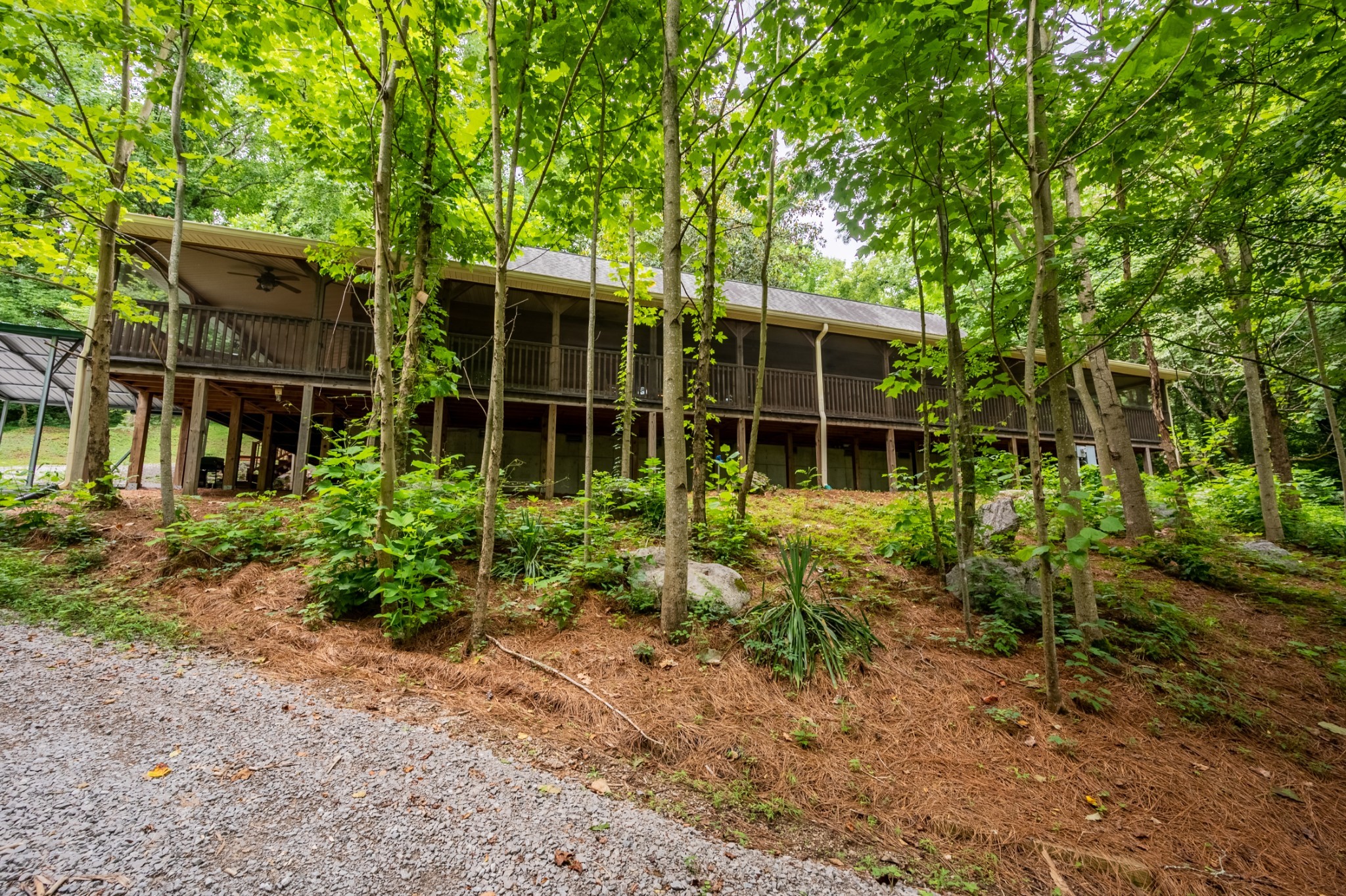 6423 Peytonsville Arno Rd Property Photo 45