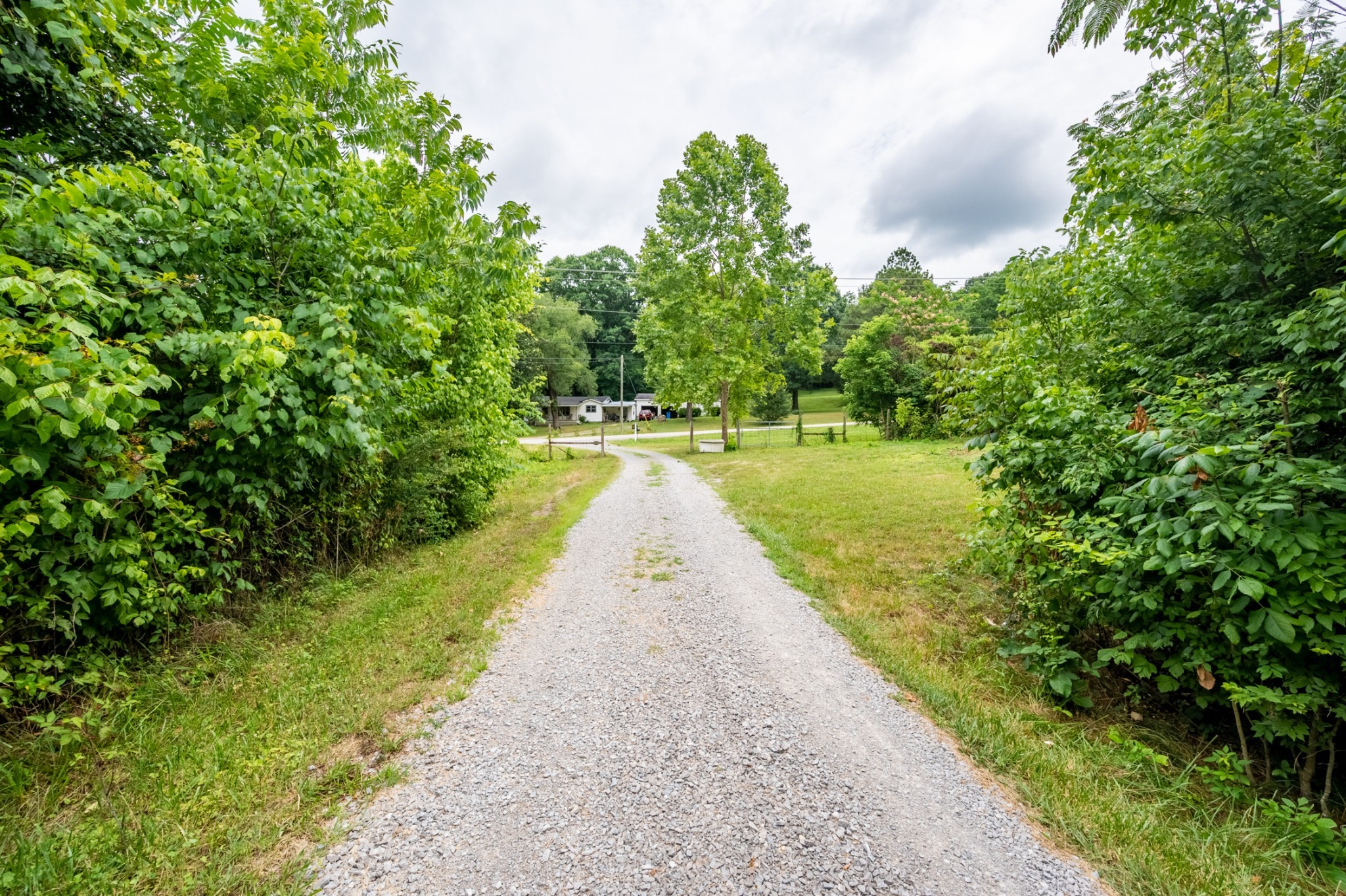 6423 Peytonsville Arno Rd Property Photo 47