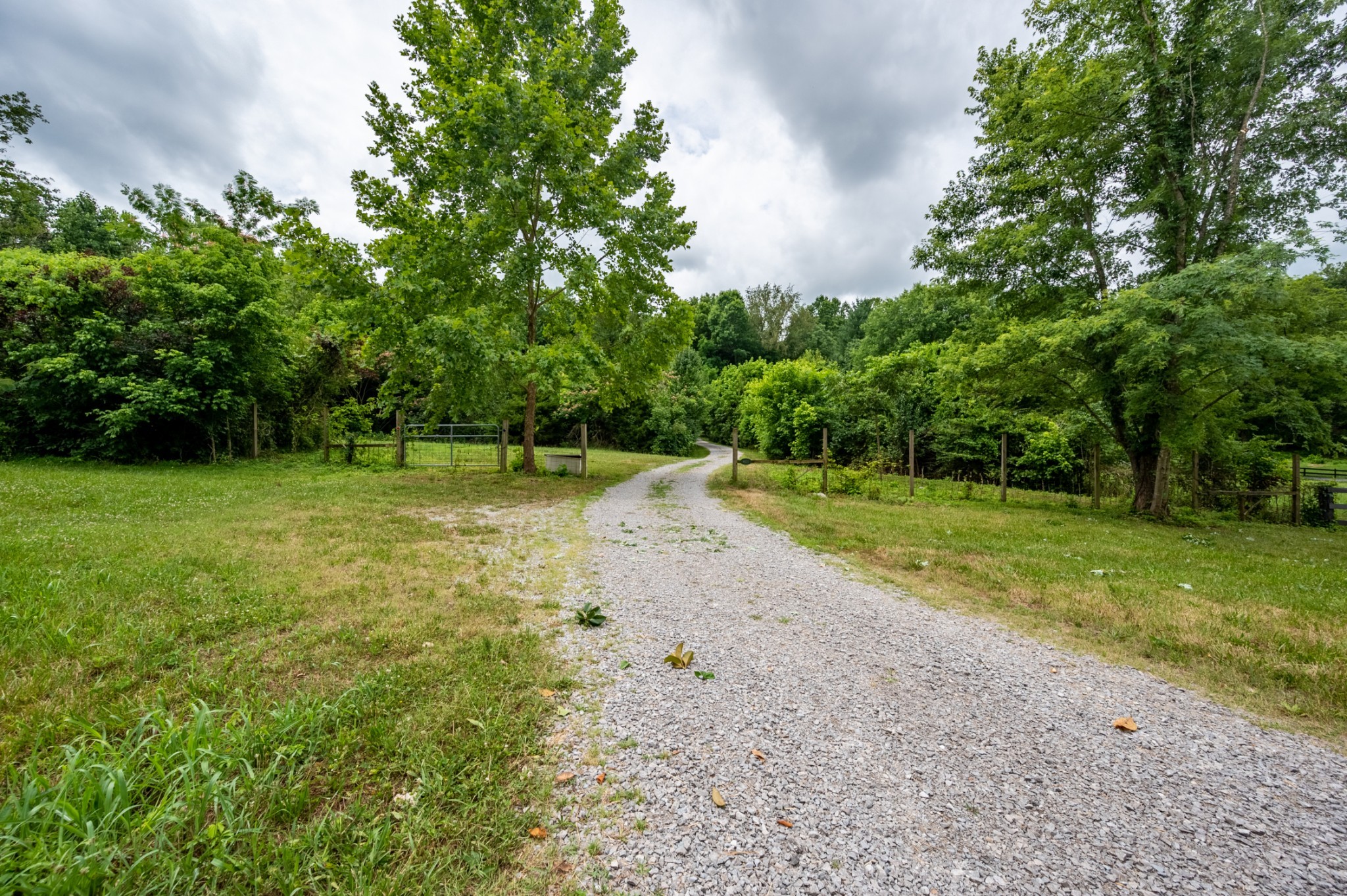 6423 Peytonsville Arno Rd Property Photo 48
