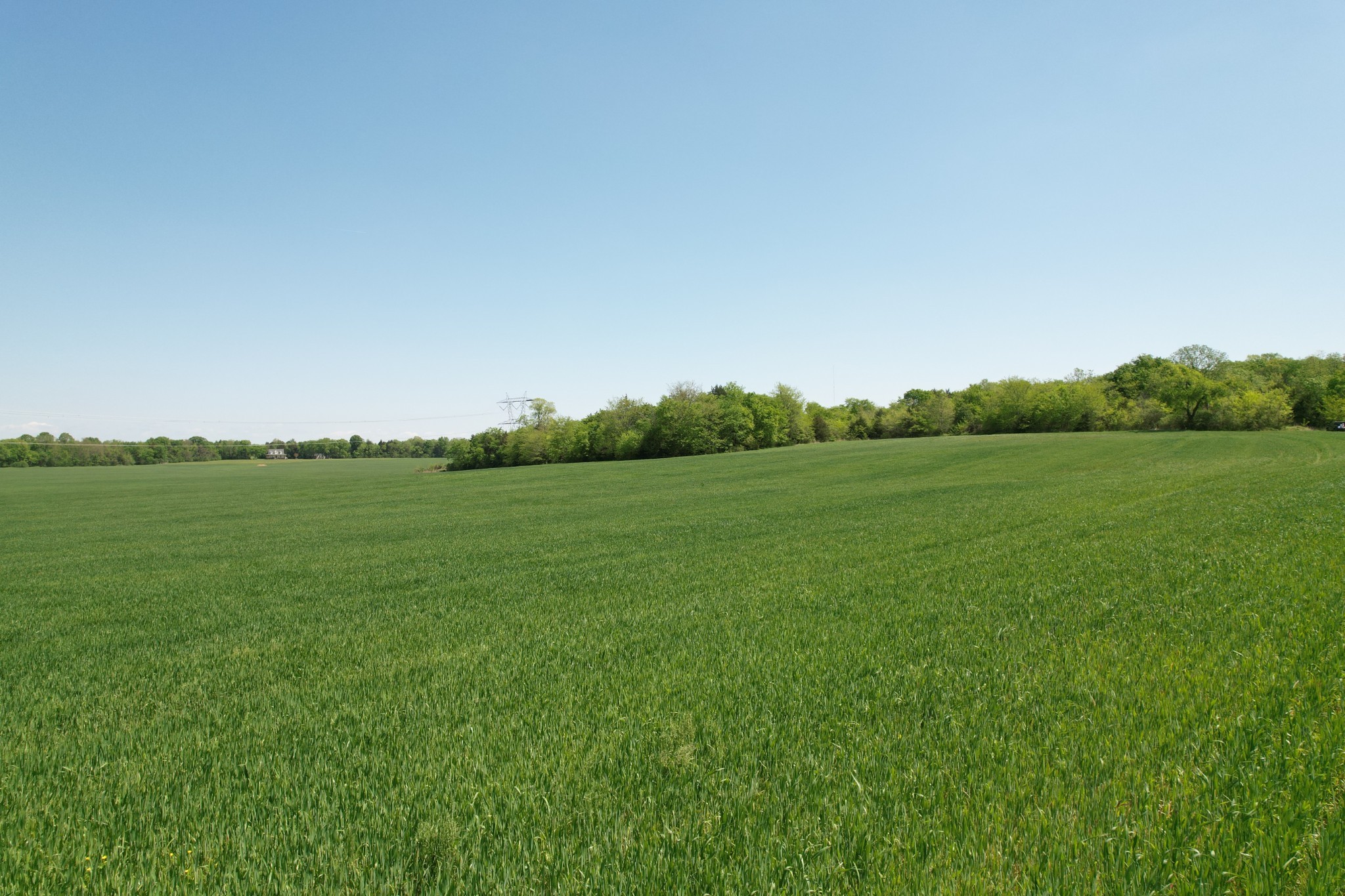 0 Highway 41a Property Photo 10