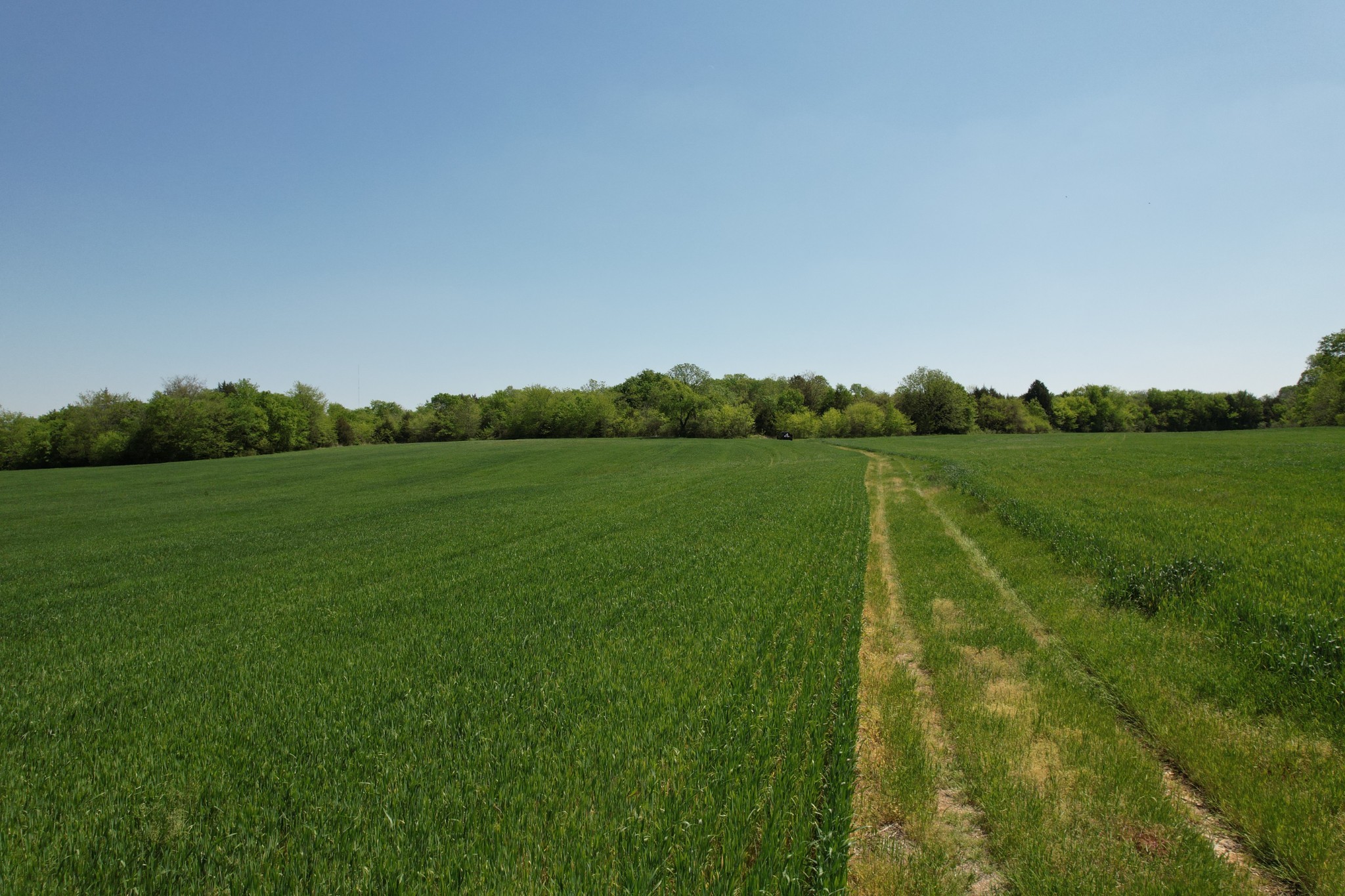 0 Highway 41a Property Photo 11