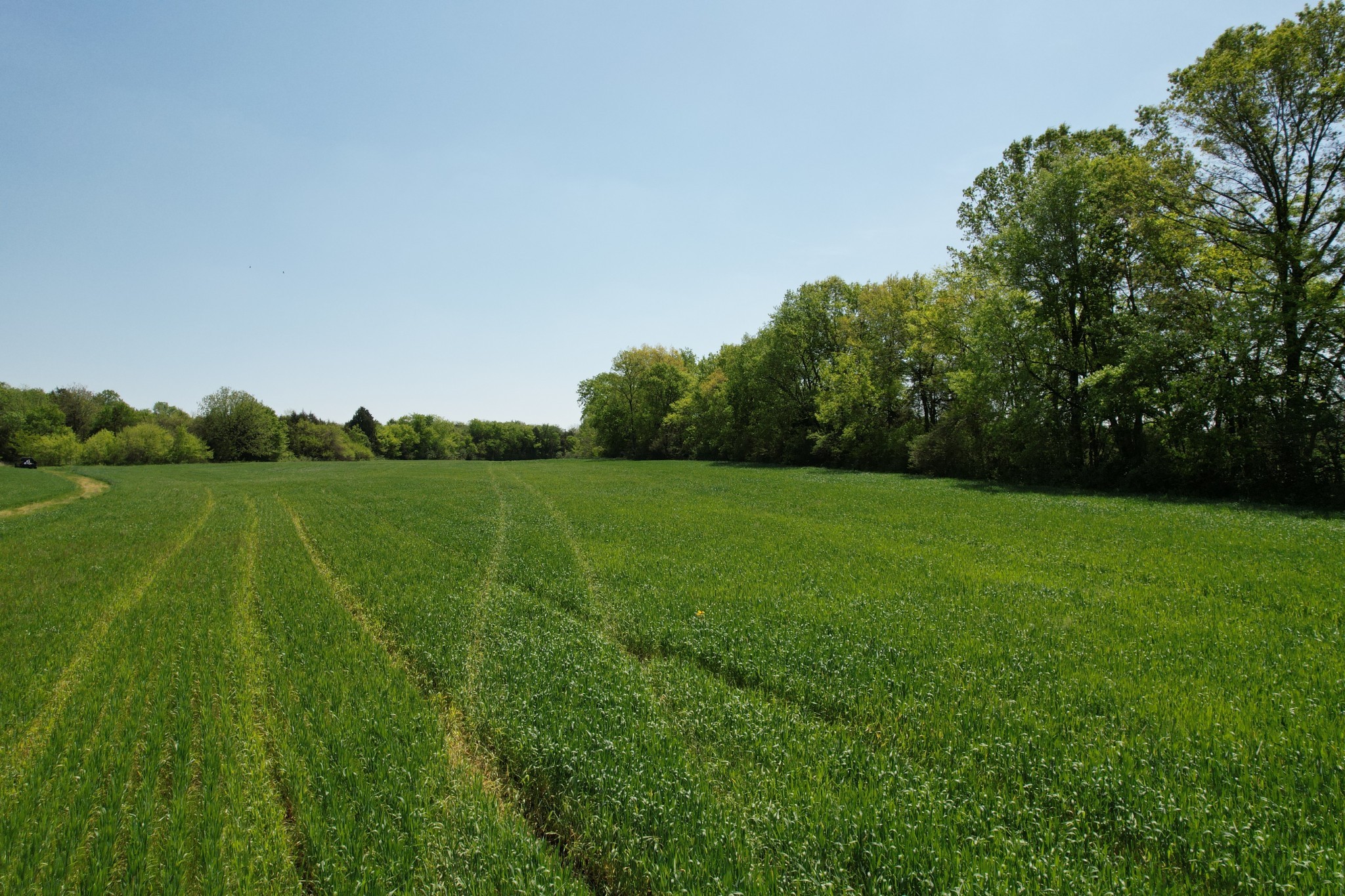 0 Highway 41a Property Photo 12