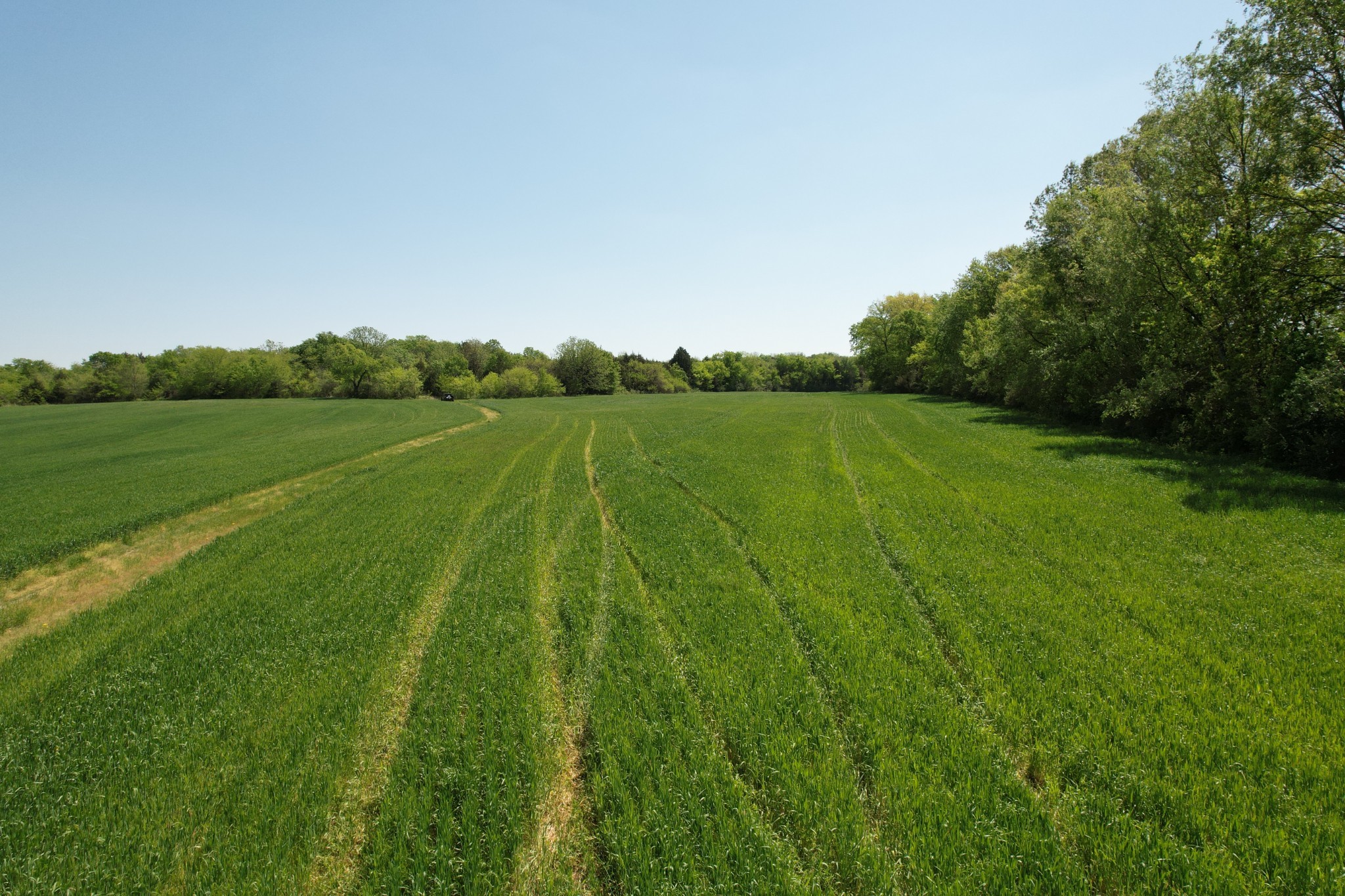 0 Highway 41a Property Photo 14
