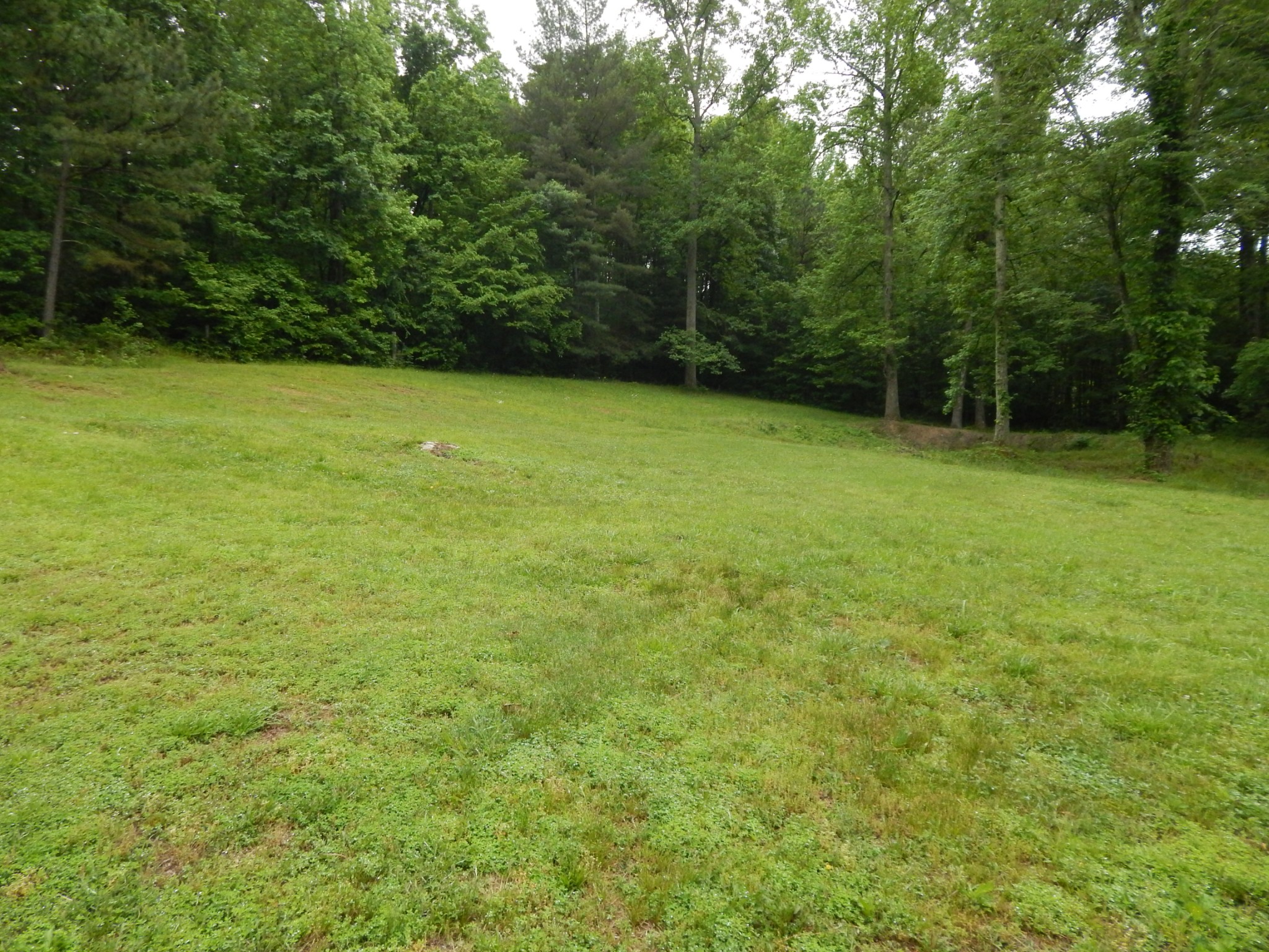 75 Buie Rd Property Photo 32