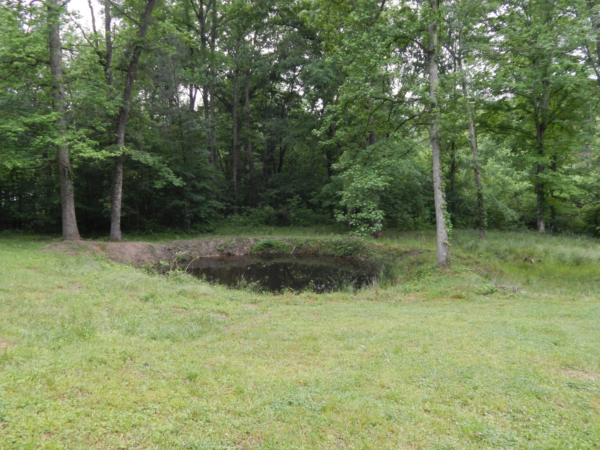 75 Buie Rd Property Photo 43