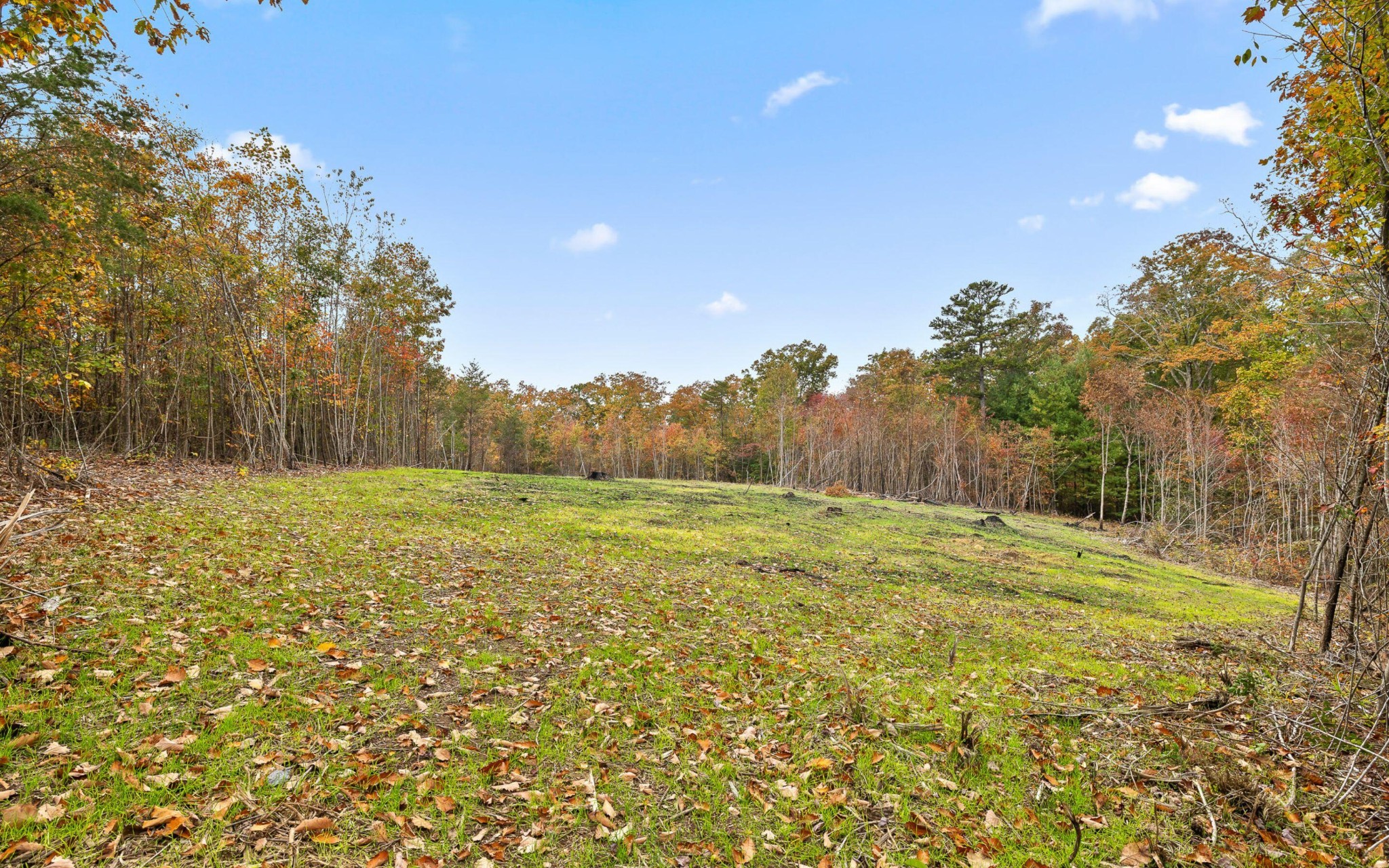 7 Grayson Way Property Photo