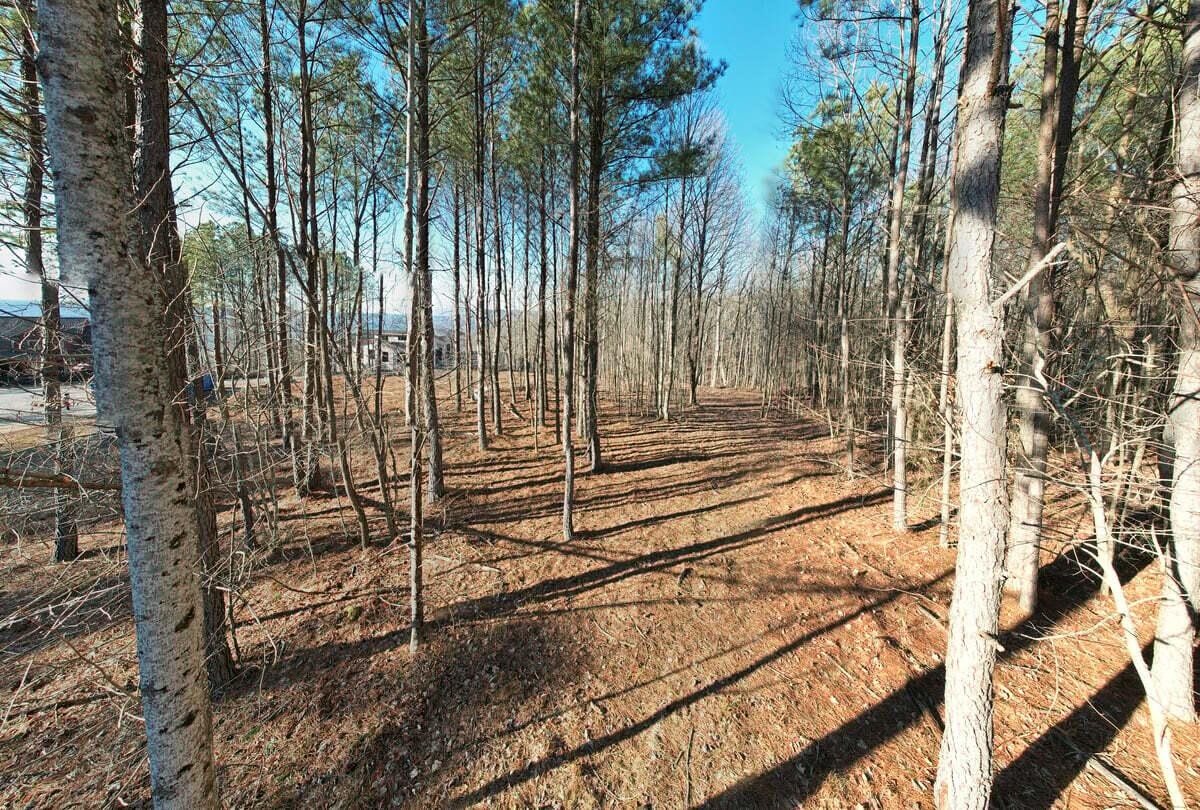 0 Waterwheel Way Property Photo 1