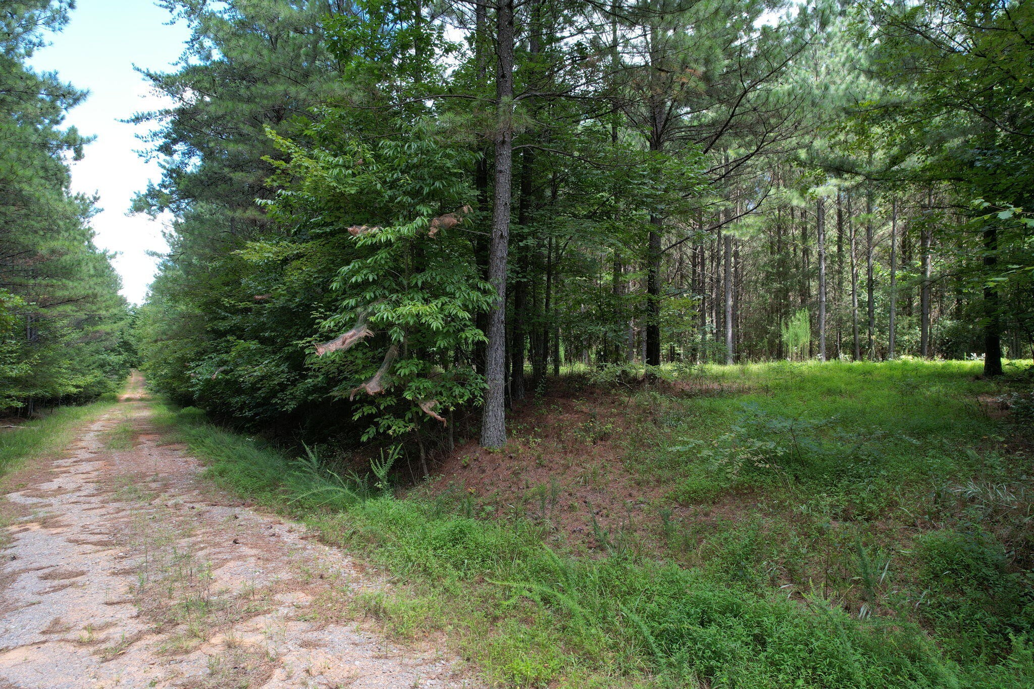 0 Crockett Point Property Photo 12