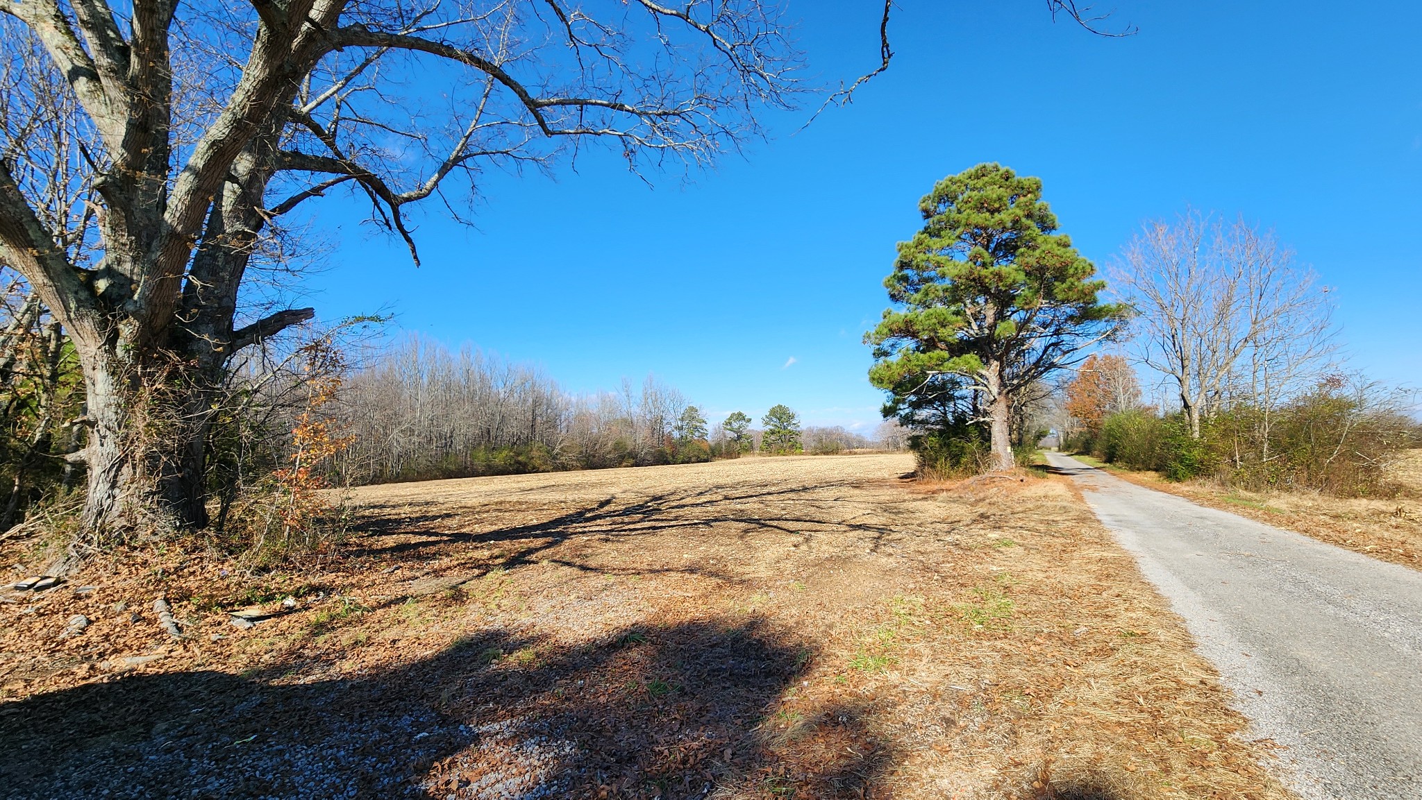 0 Twilla Lane Property Photo 1