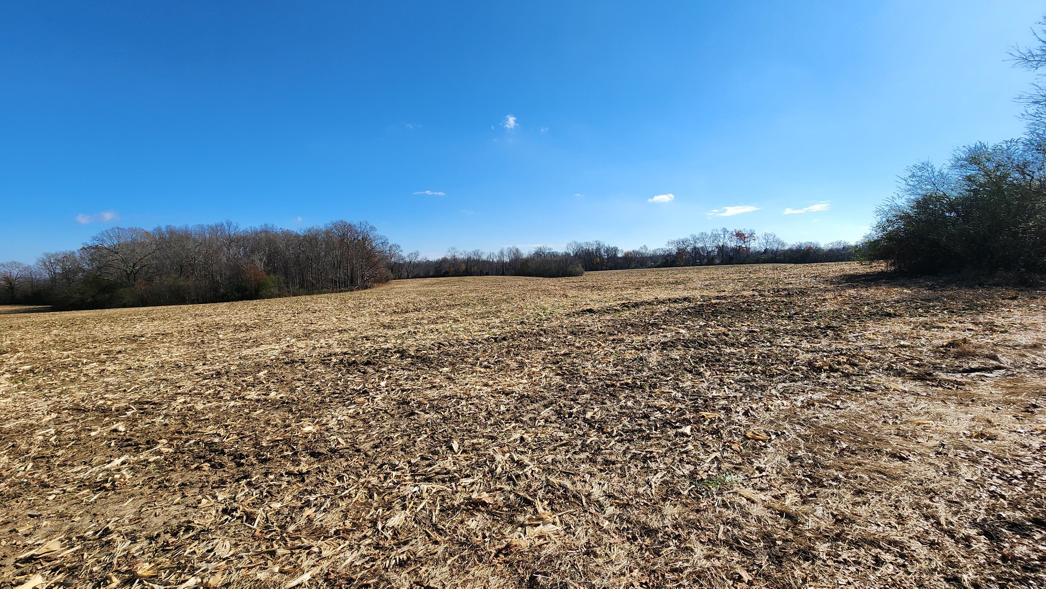 0 Twilla Lane Property Photo 3