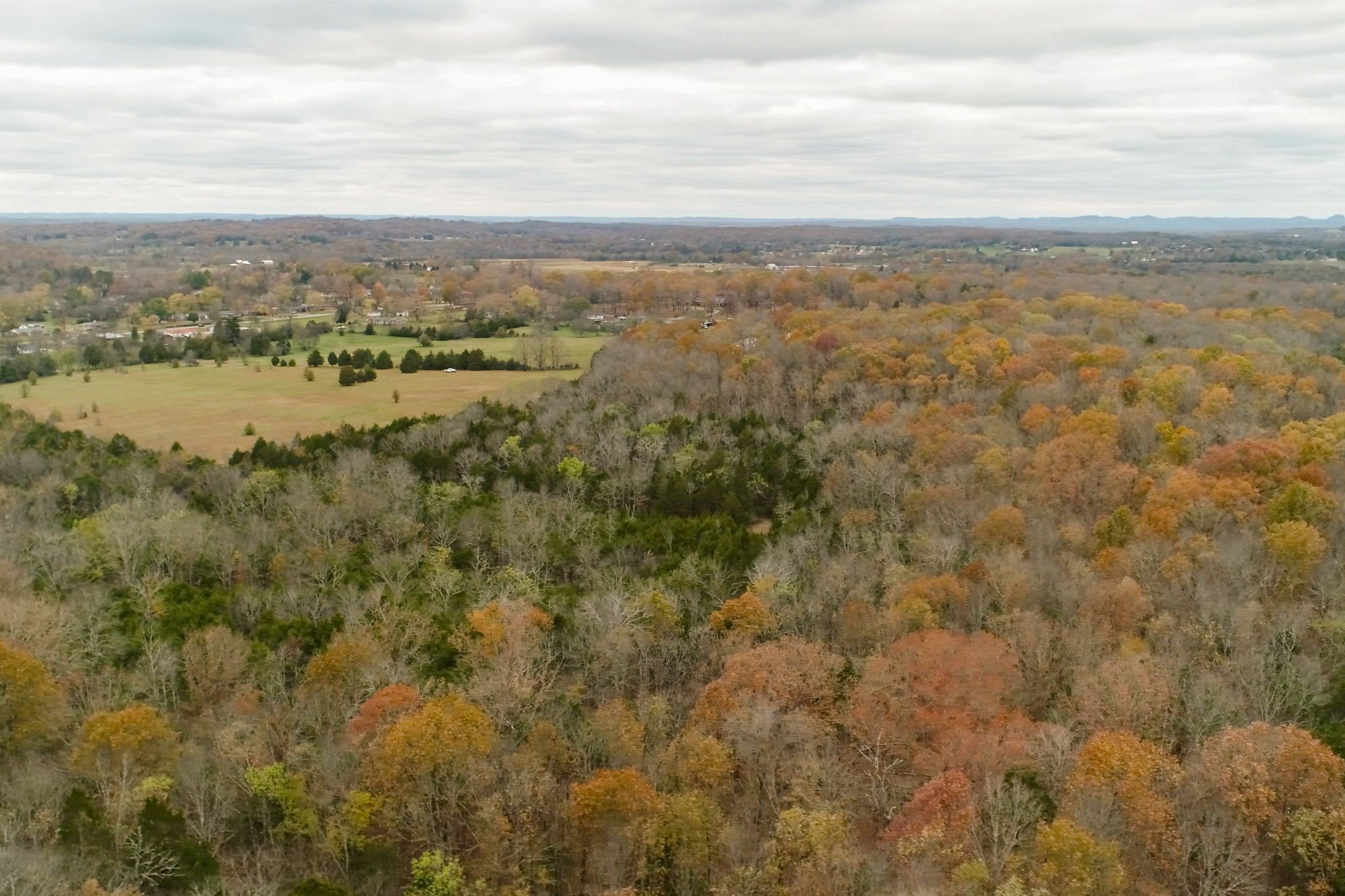 3923 Hunters Point Pike Property Photo 15
