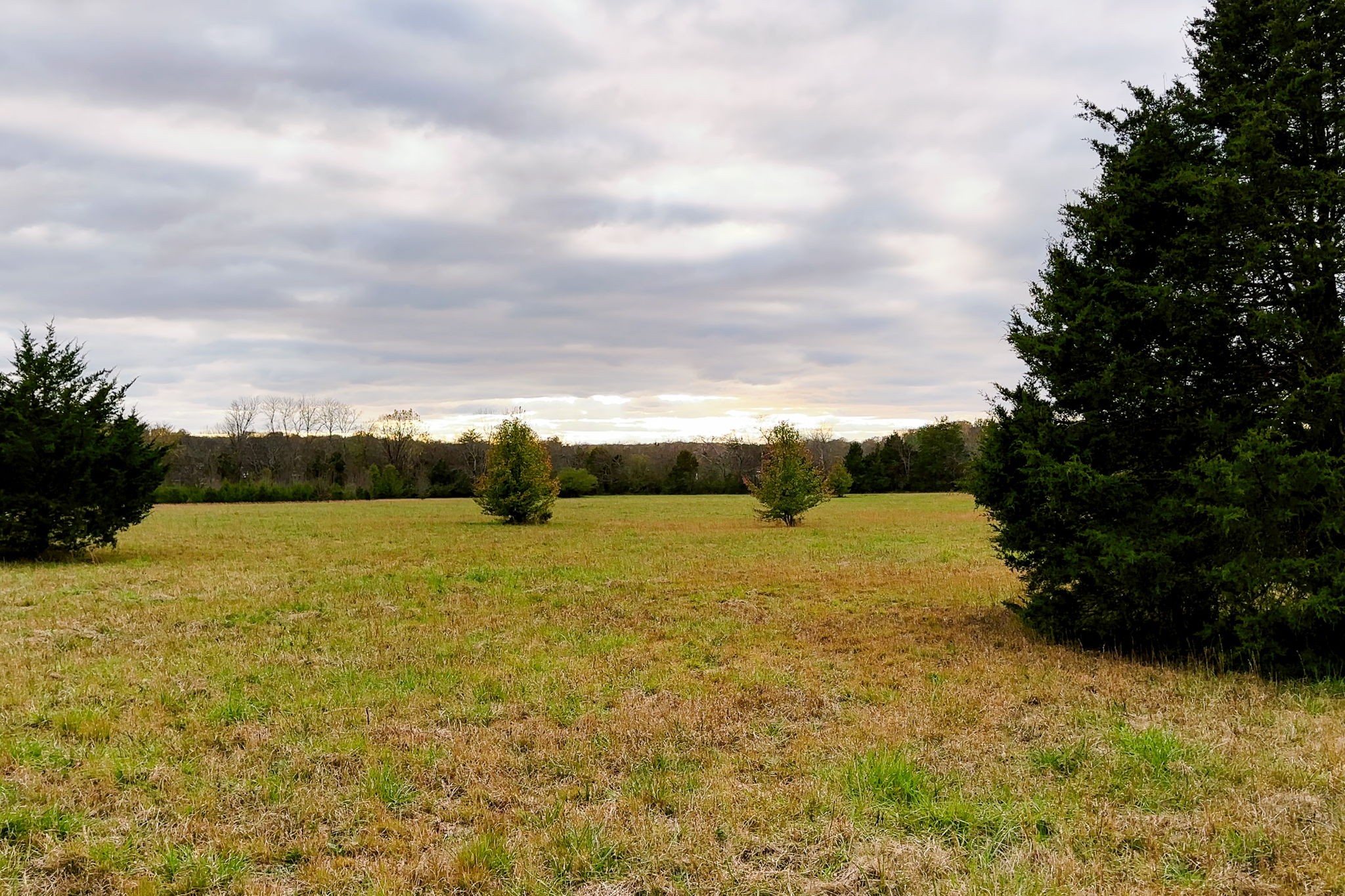 3923 Hunters Point Pike Property Photo 16