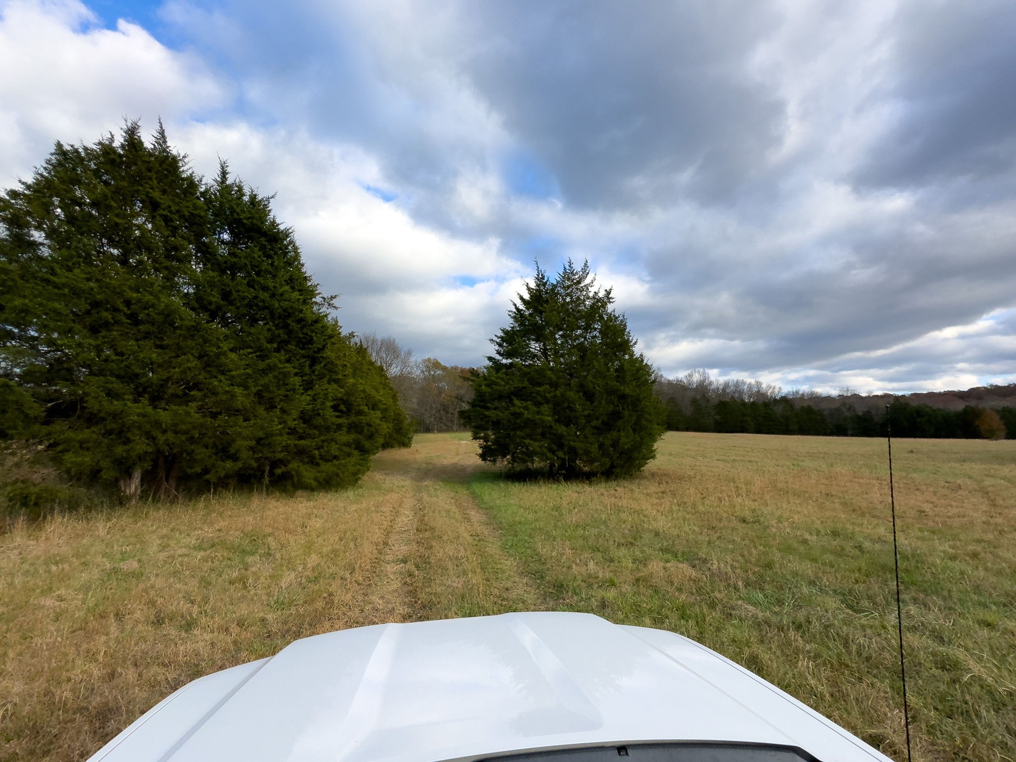 3923 Hunters Point Pike Property Photo 17