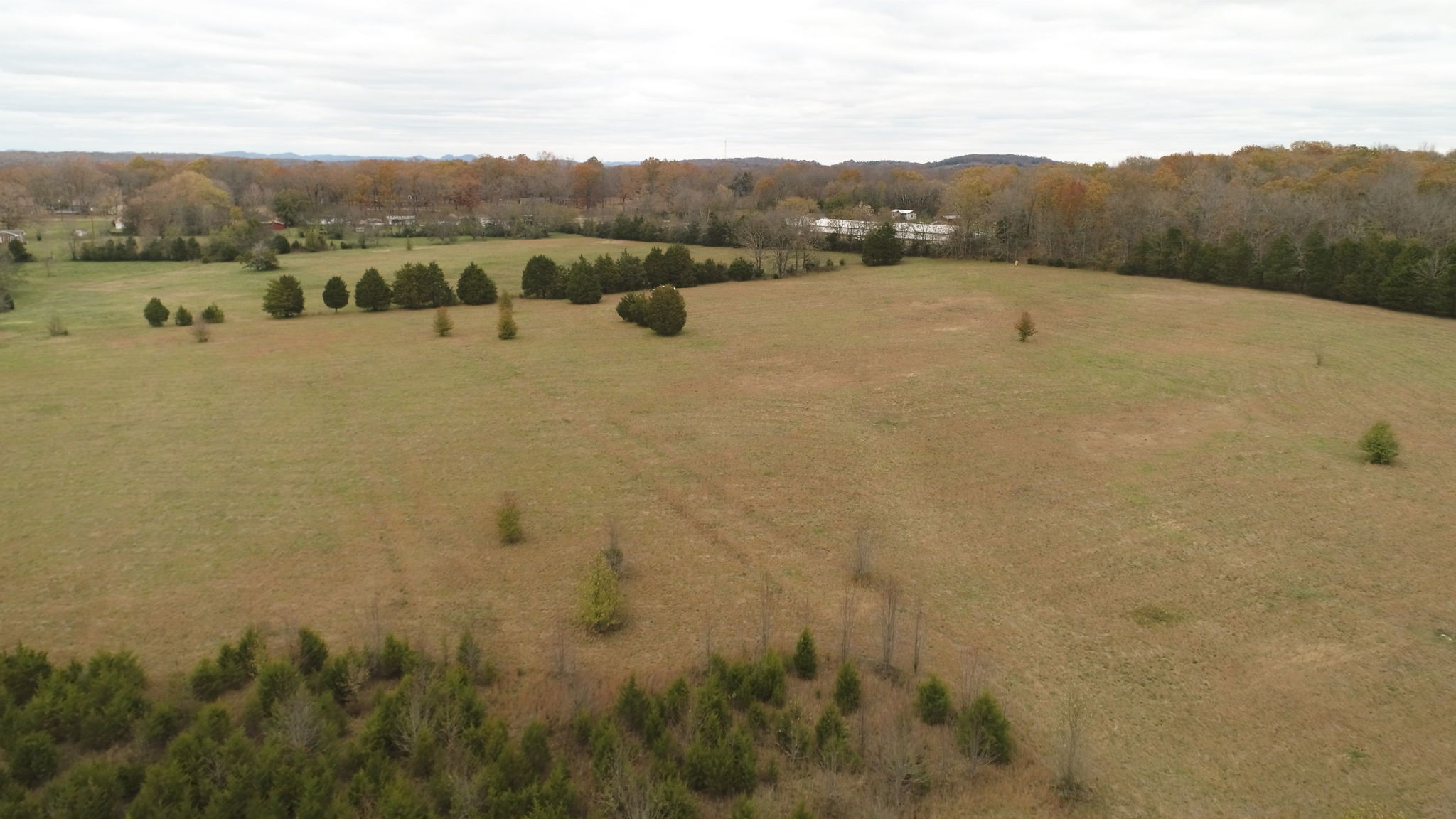 3923 Hunters Point Pike Property Photo 23