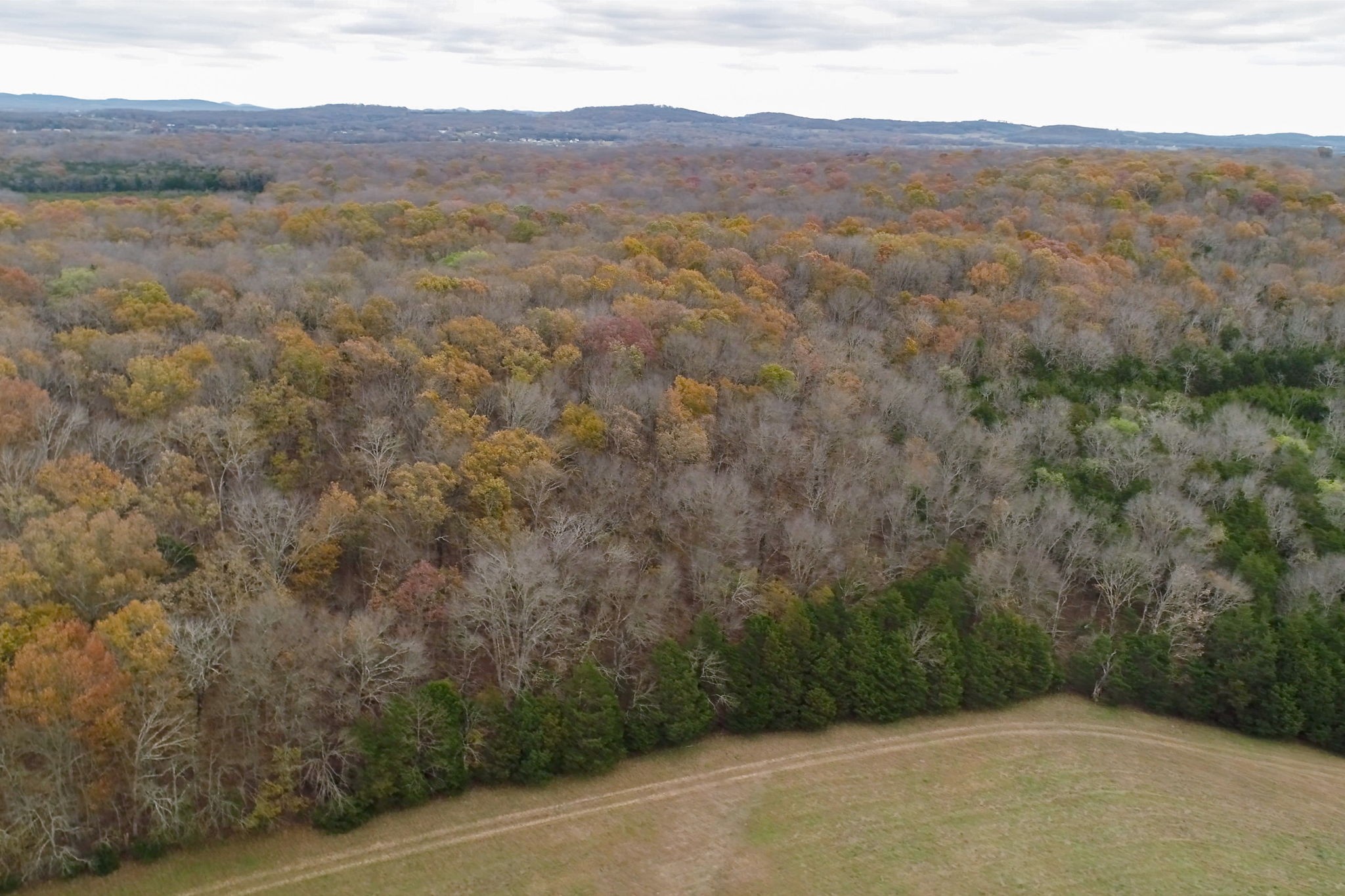 3923 Hunters Point Pike Property Photo 25