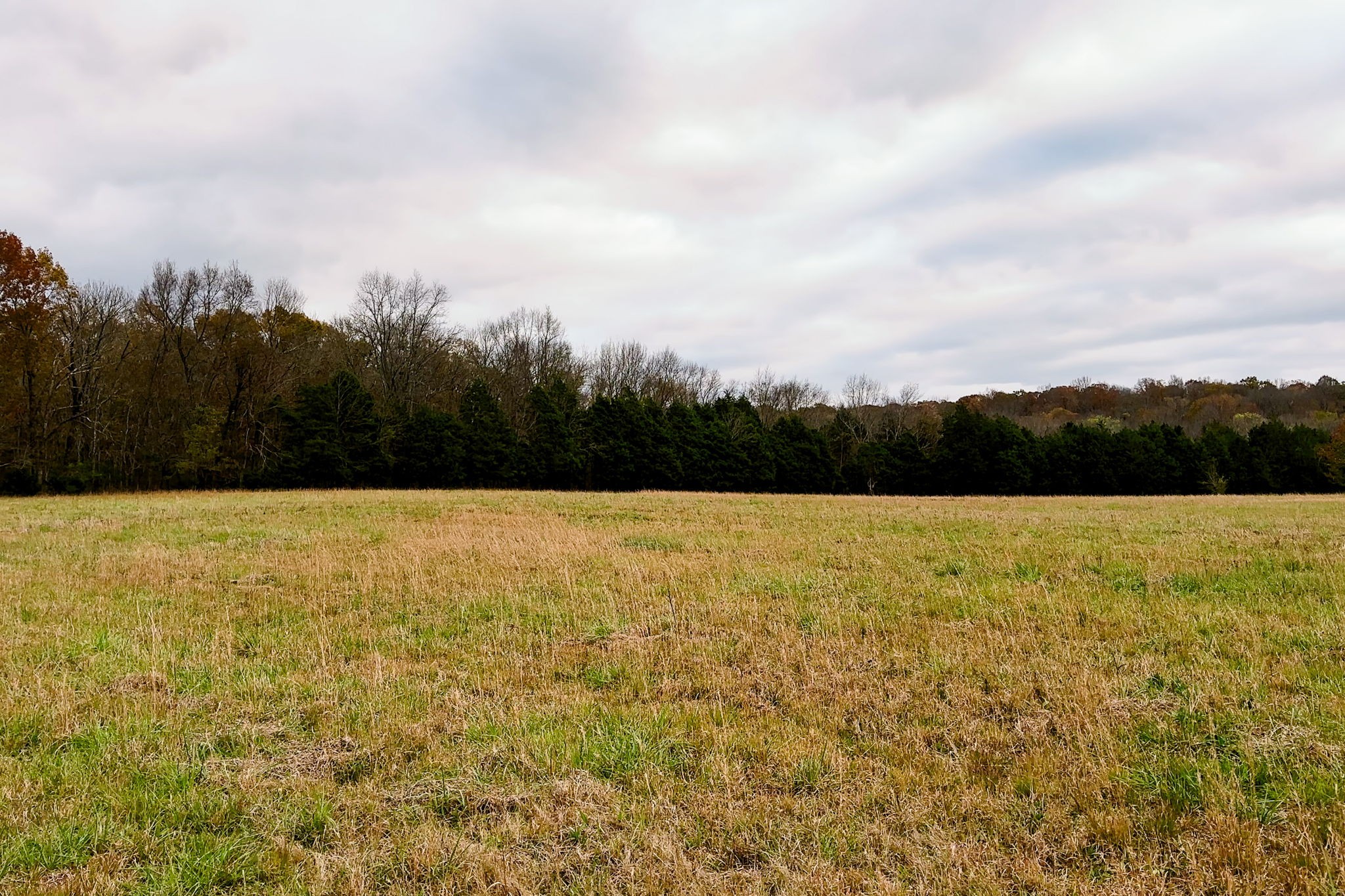 3923 Hunters Point Pike Property Photo 26