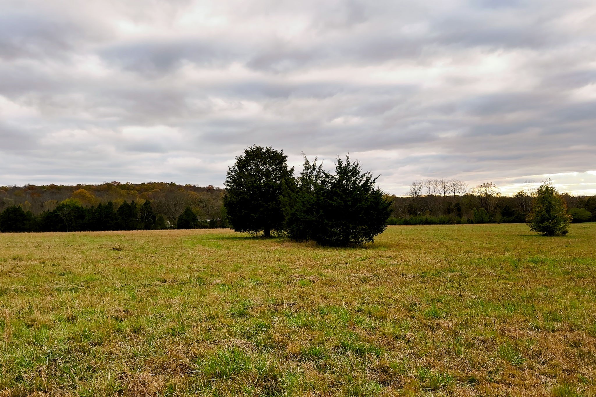 3923 Hunters Point Pike Property Photo 27