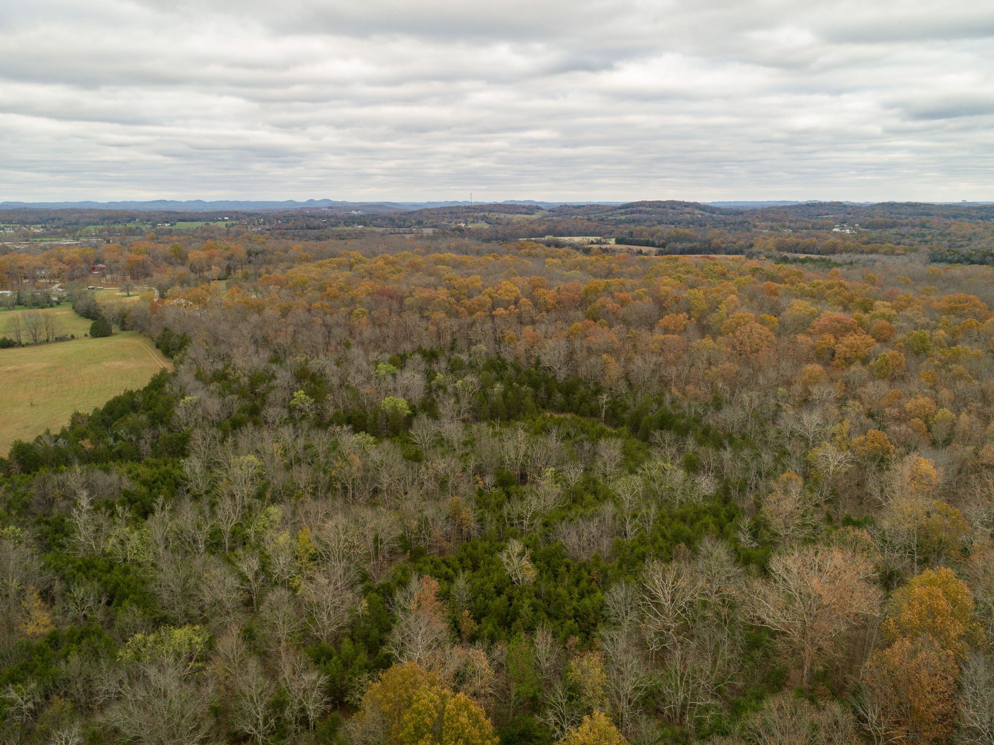 3923 Hunters Point Pike Property Photo 36