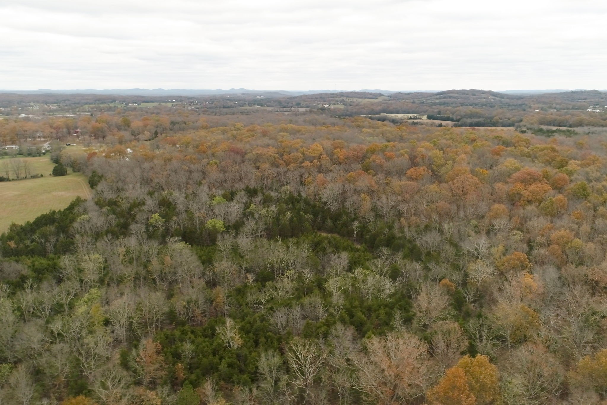 3923 Hunters Point Pike Property Photo 37
