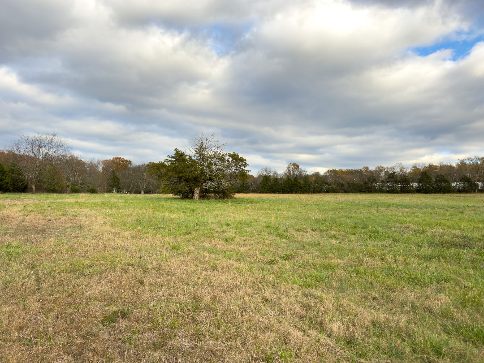 3923 Hunters Point Pike Property Photo 42
