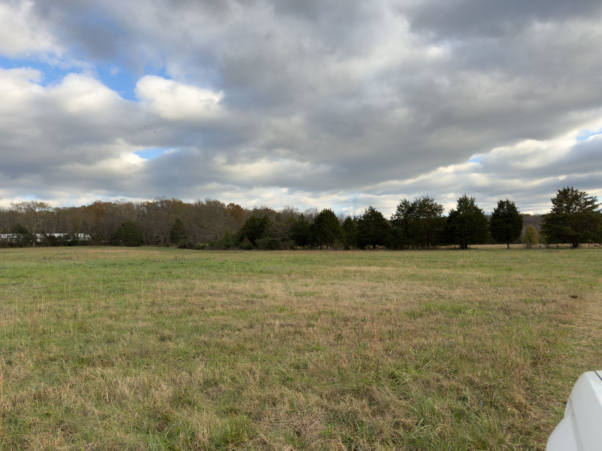3923 Hunters Point Pike Property Photo 43