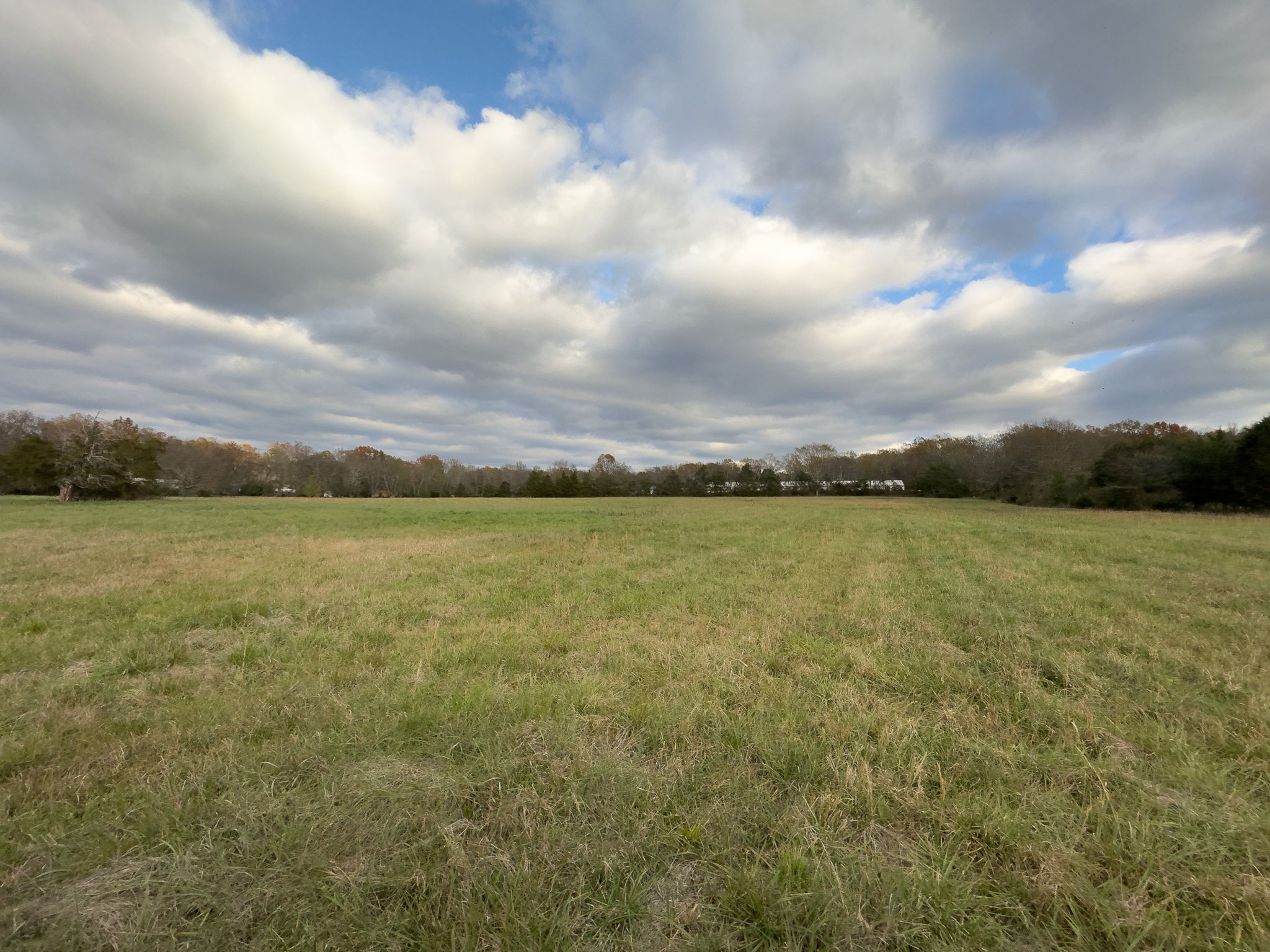 3923 Hunters Point Pike Property Photo 46
