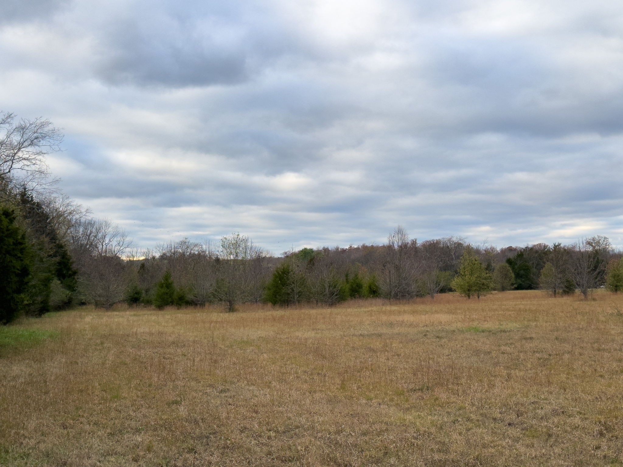 3923 Hunters Point Pike Property Photo 47