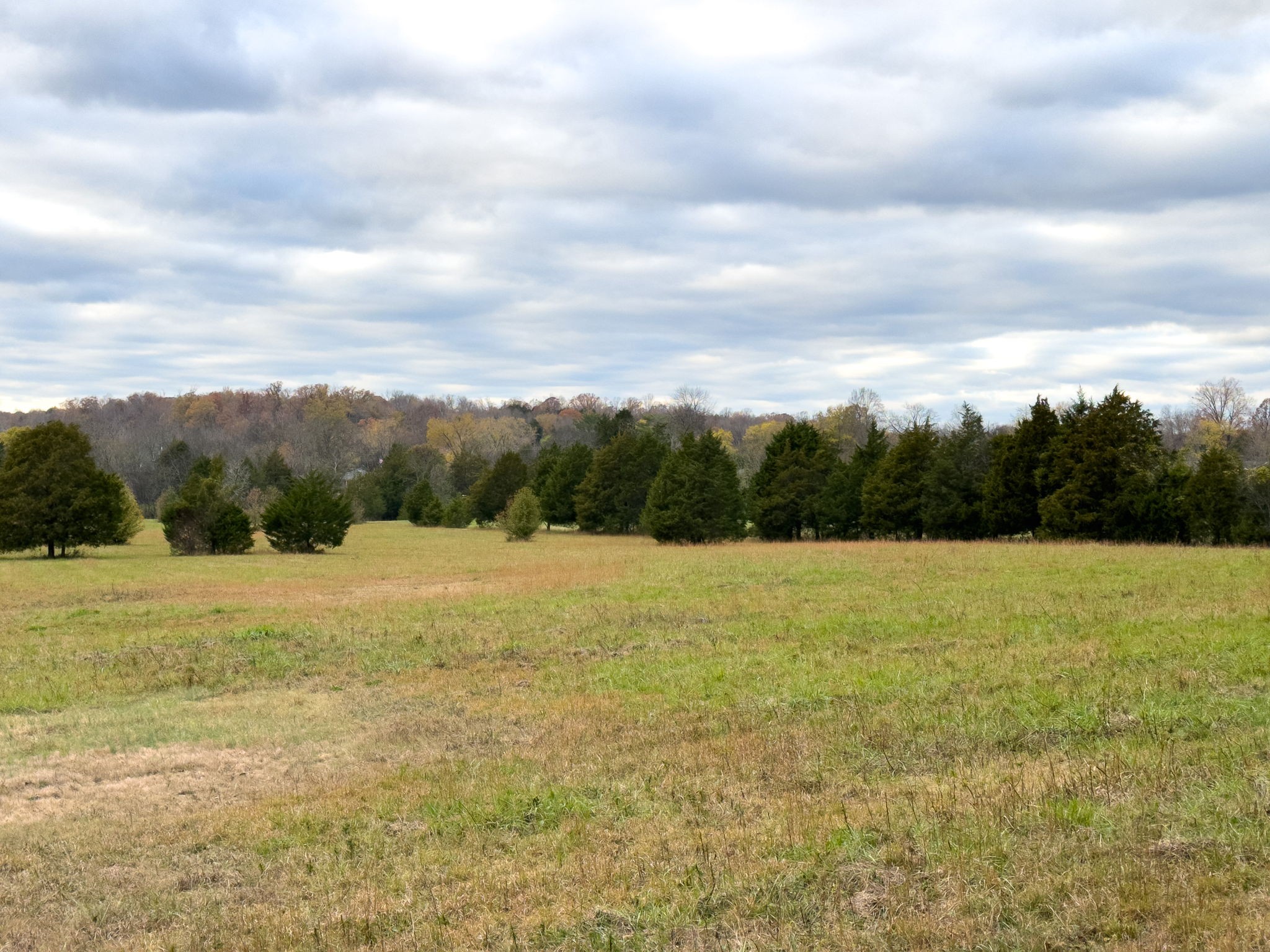3923 Hunters Point Pike Property Photo 49
